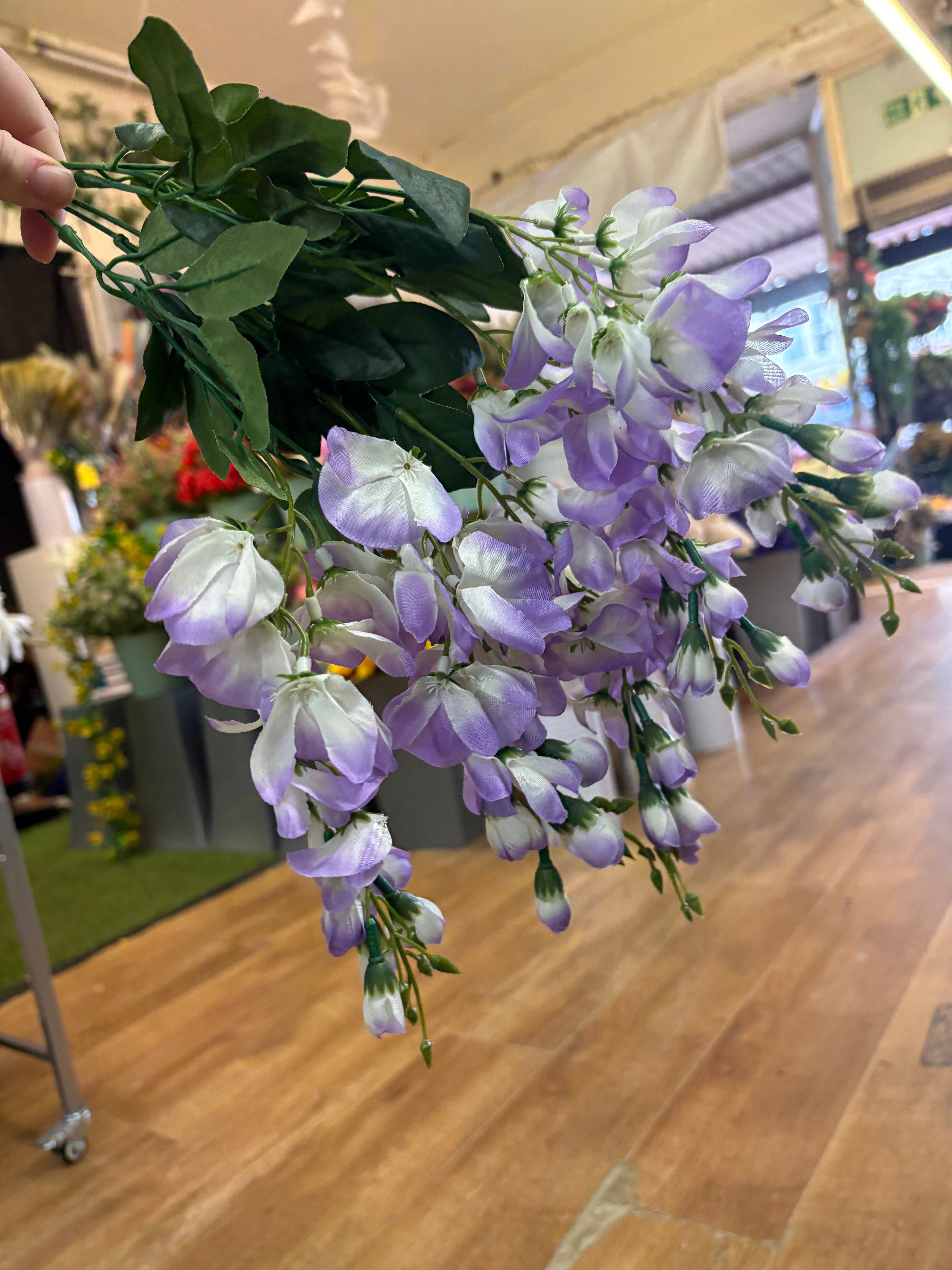 Short lilac wisteria bunch