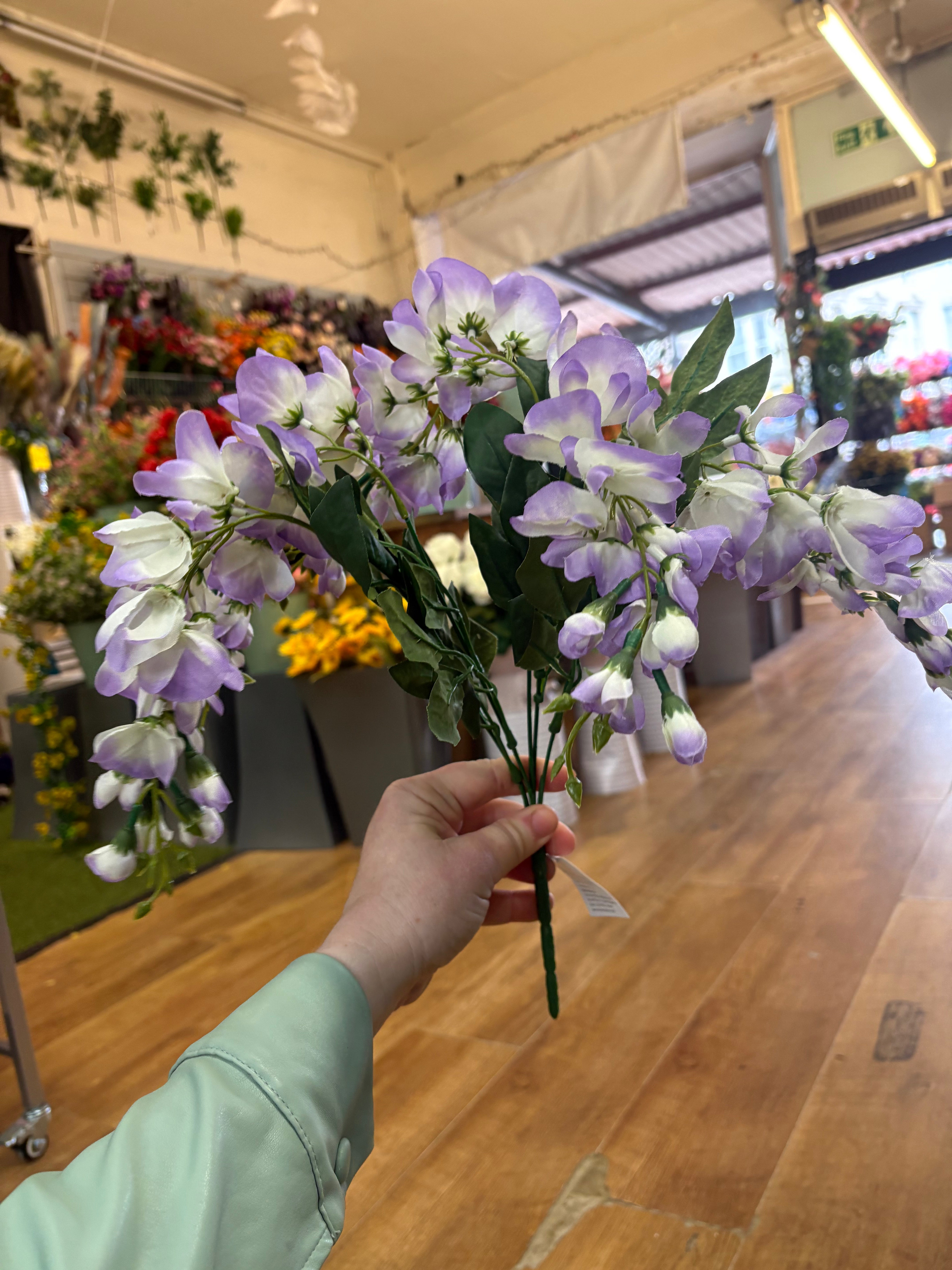 Short lilac wisteria bunch