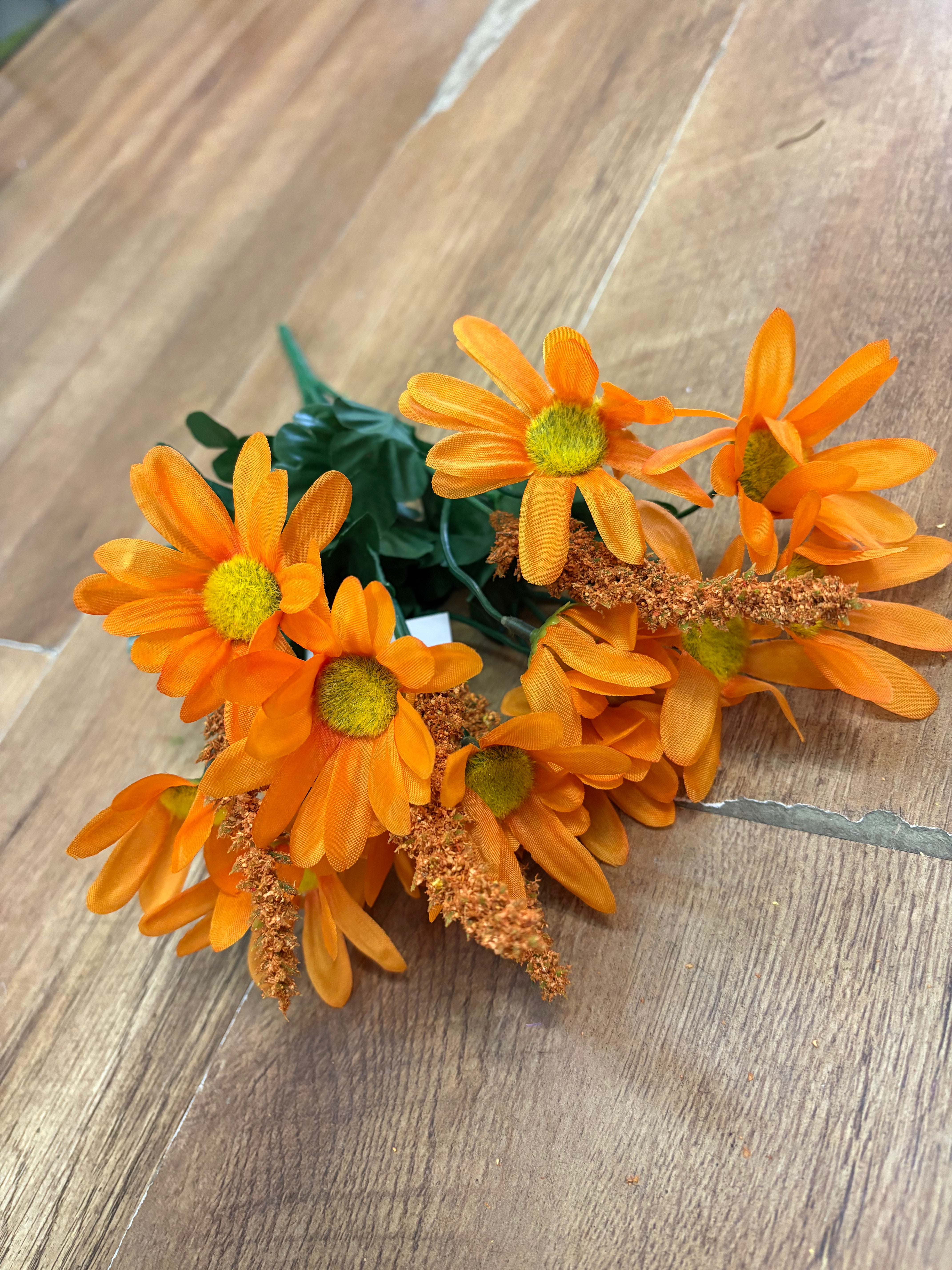 Daisy and foxtail bush - 2 colours available
