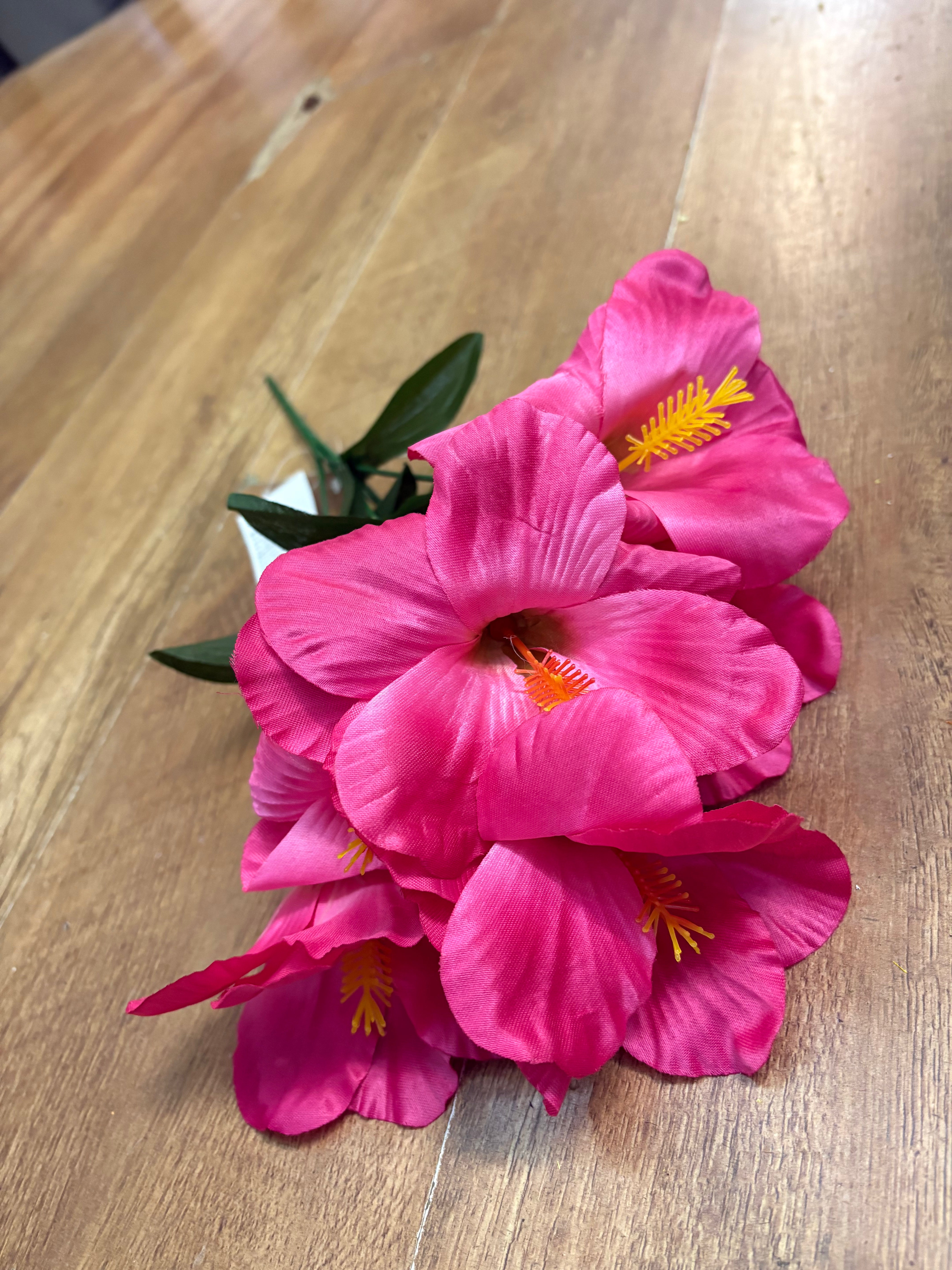 Hibiscus bush - 4 colours available