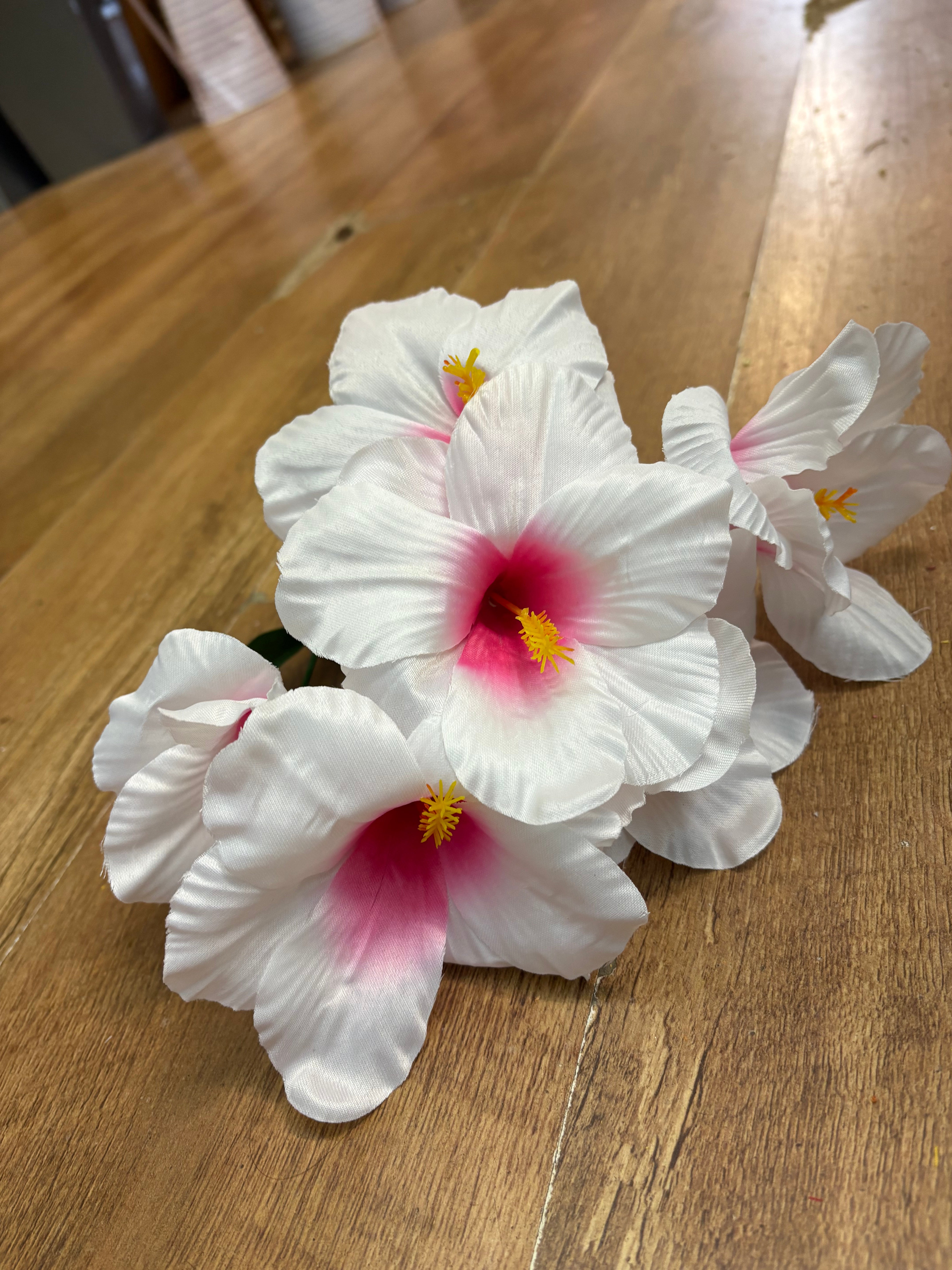 Hibiscus bush - 4 colours available