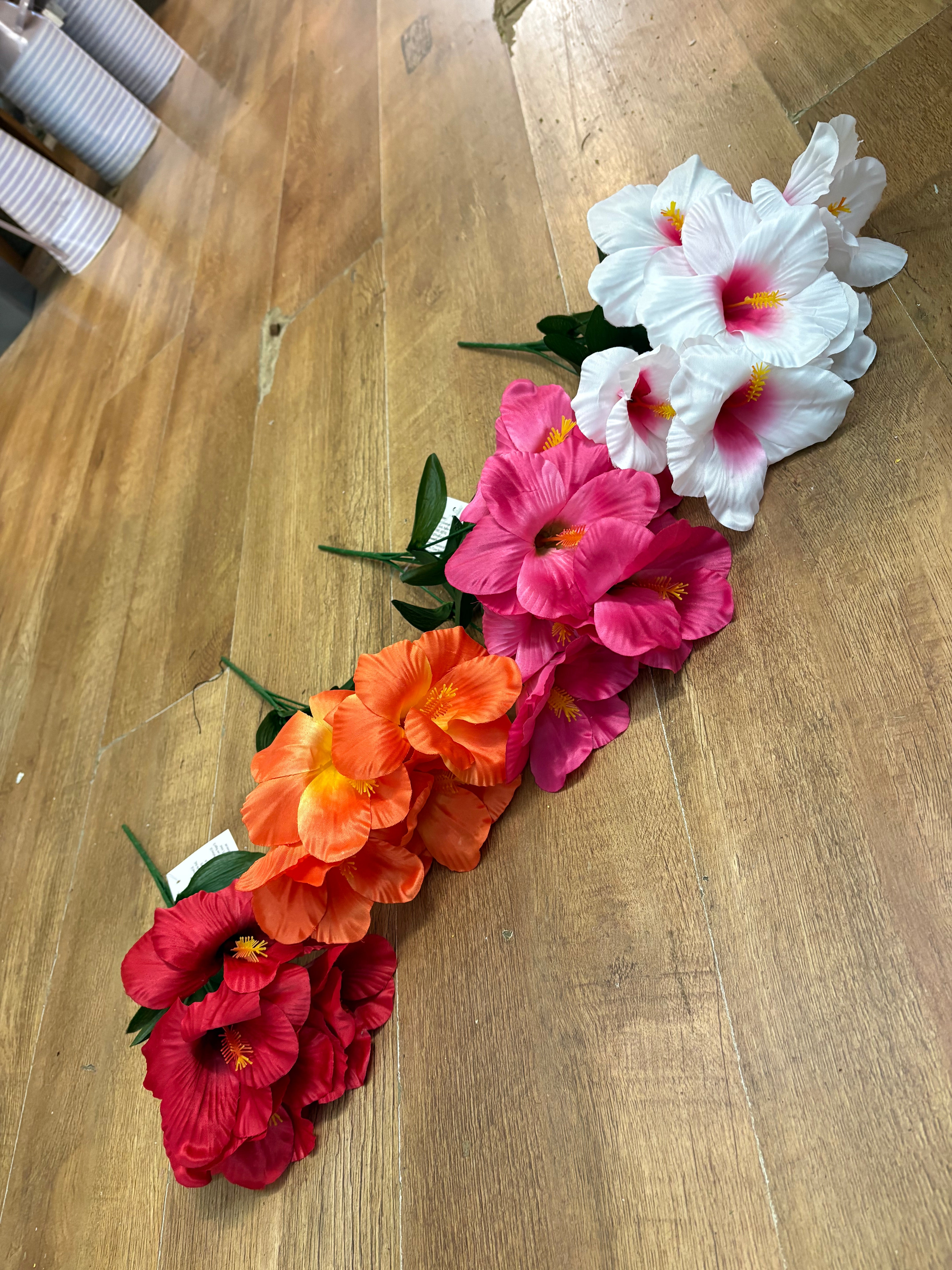 Hibiscus bush - 4 colours available