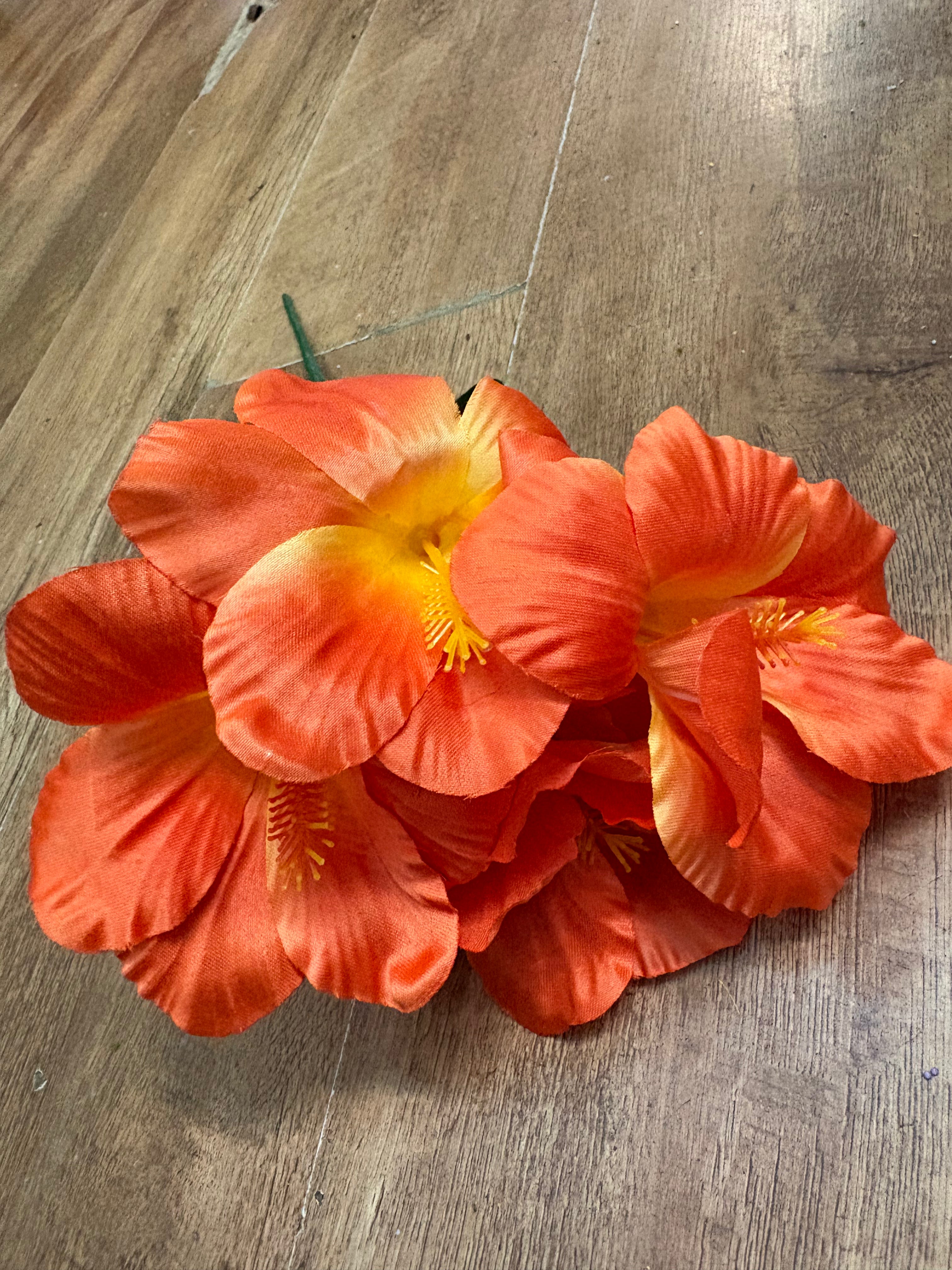 Hibiscus bush - 4 colours available