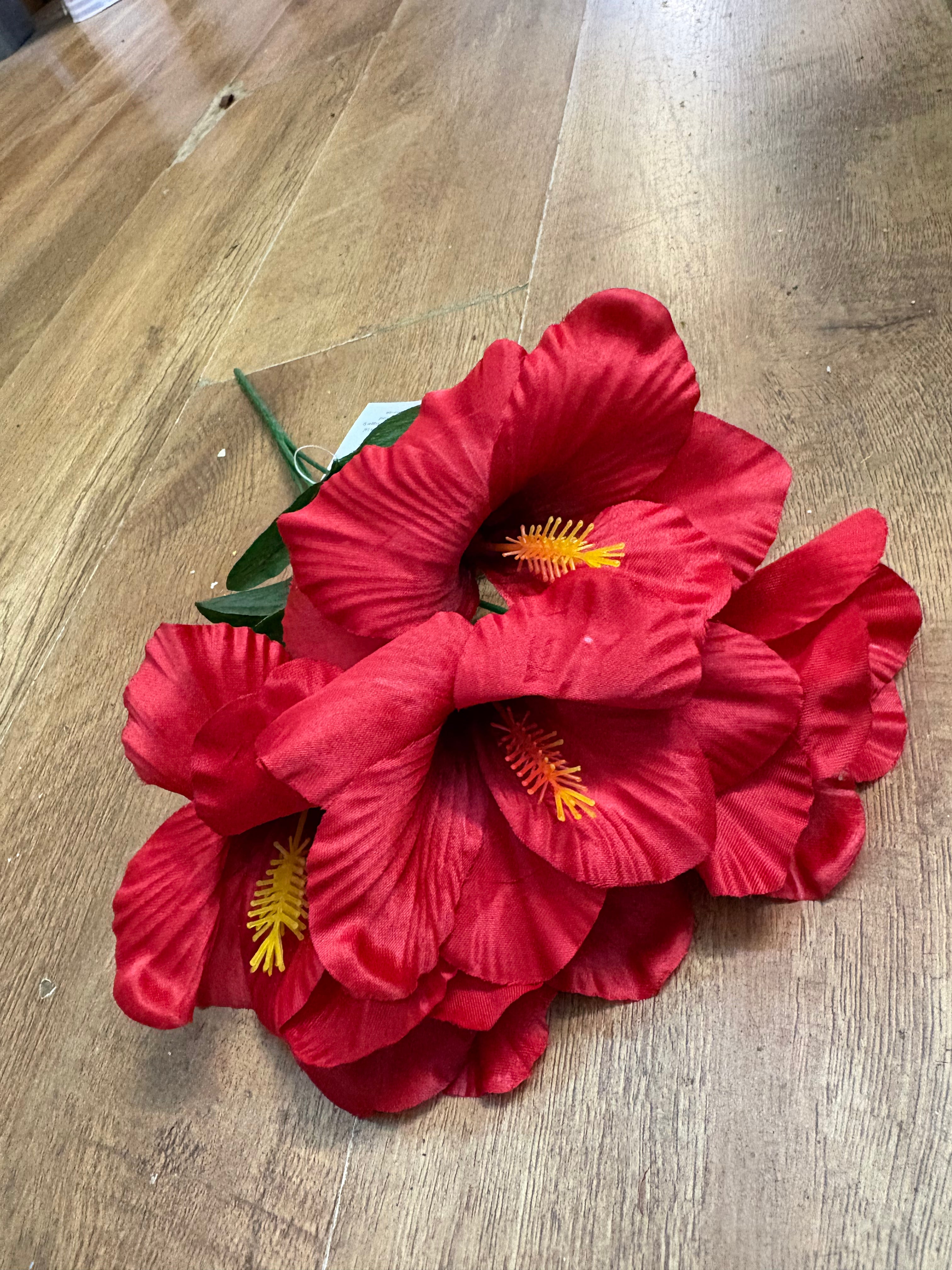 Hibiscus bush - 4 colours available