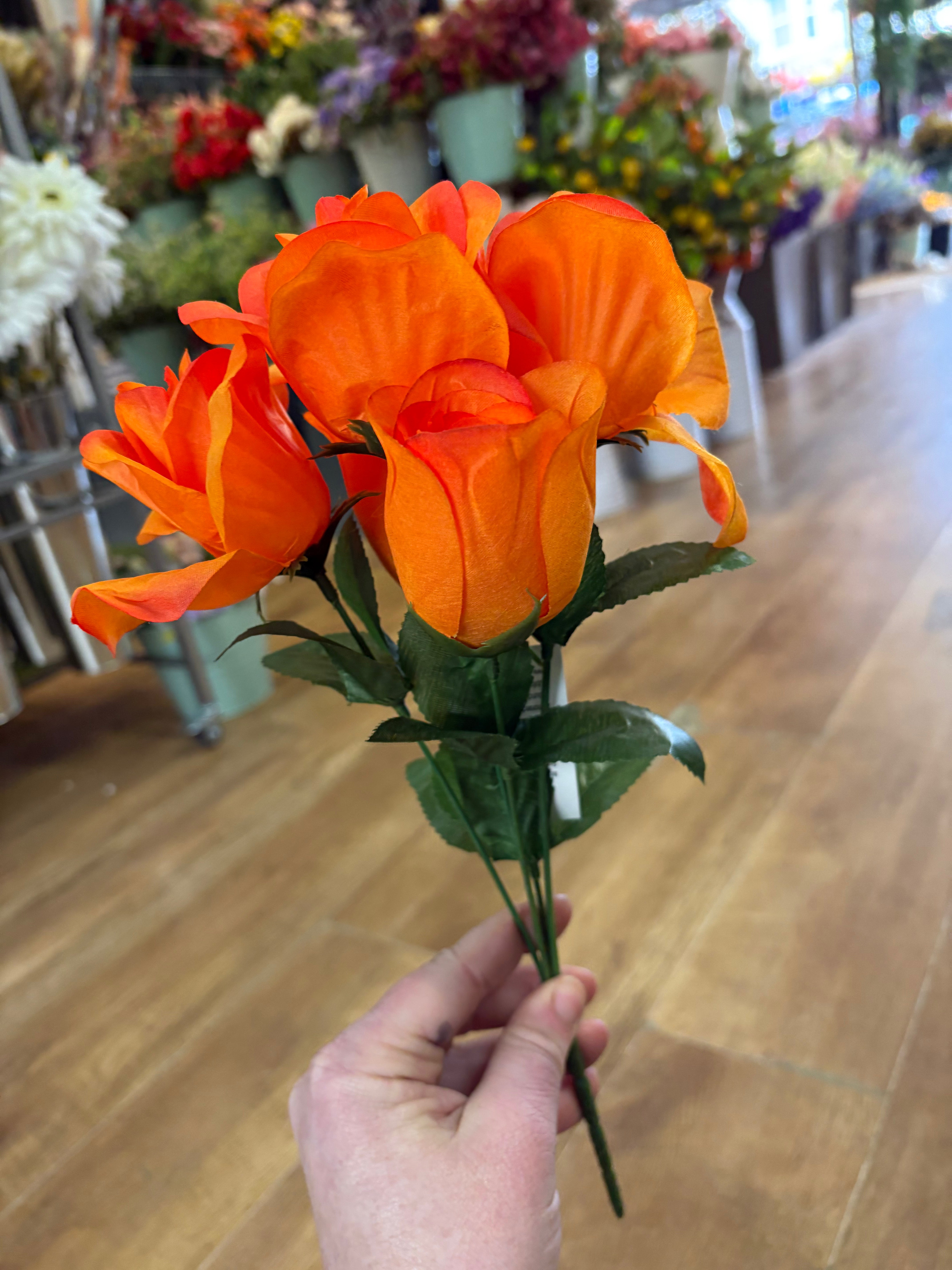 Mixed rose bush - 4 colours available