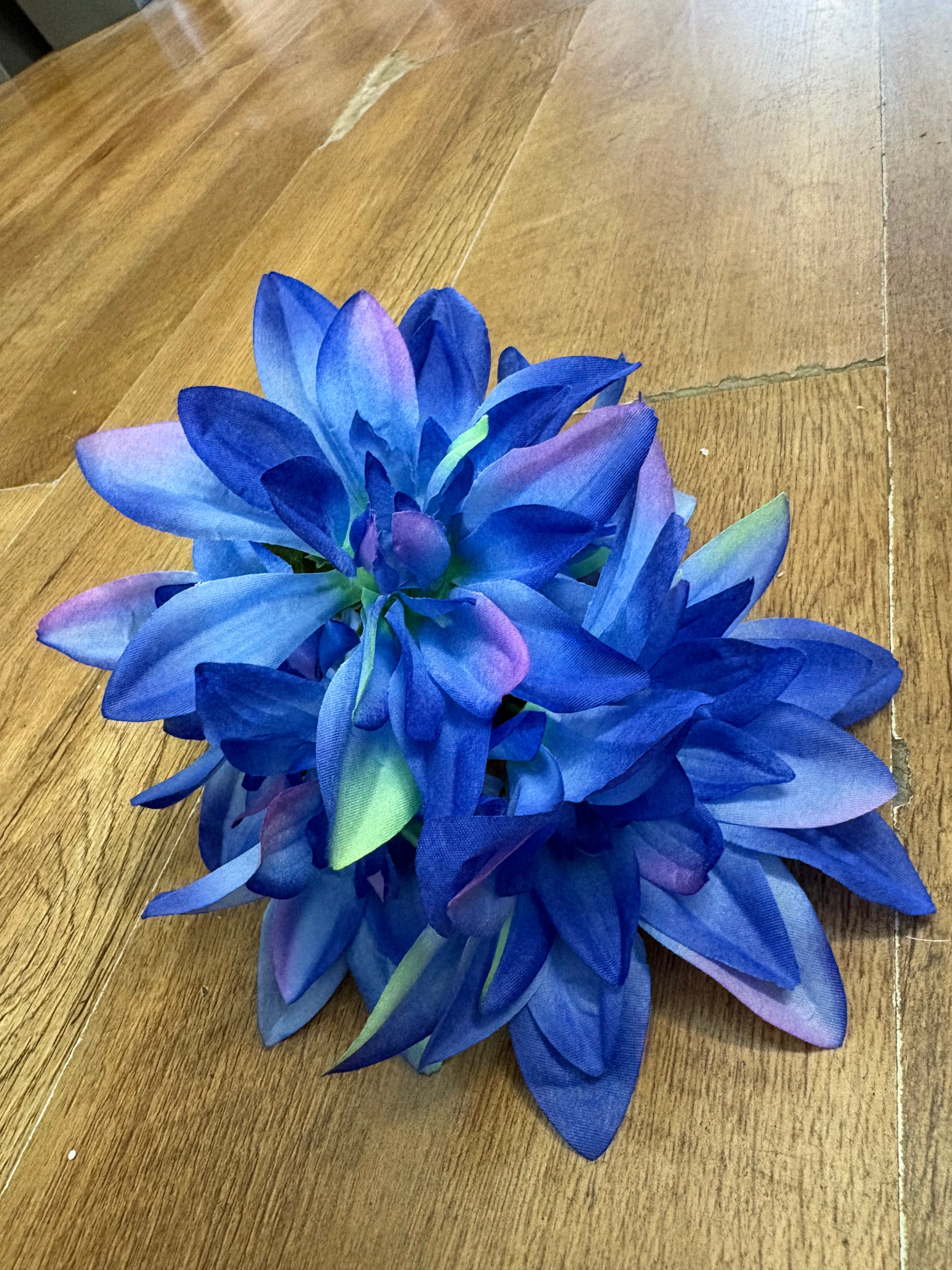 Dahlia bush - 4 colours available