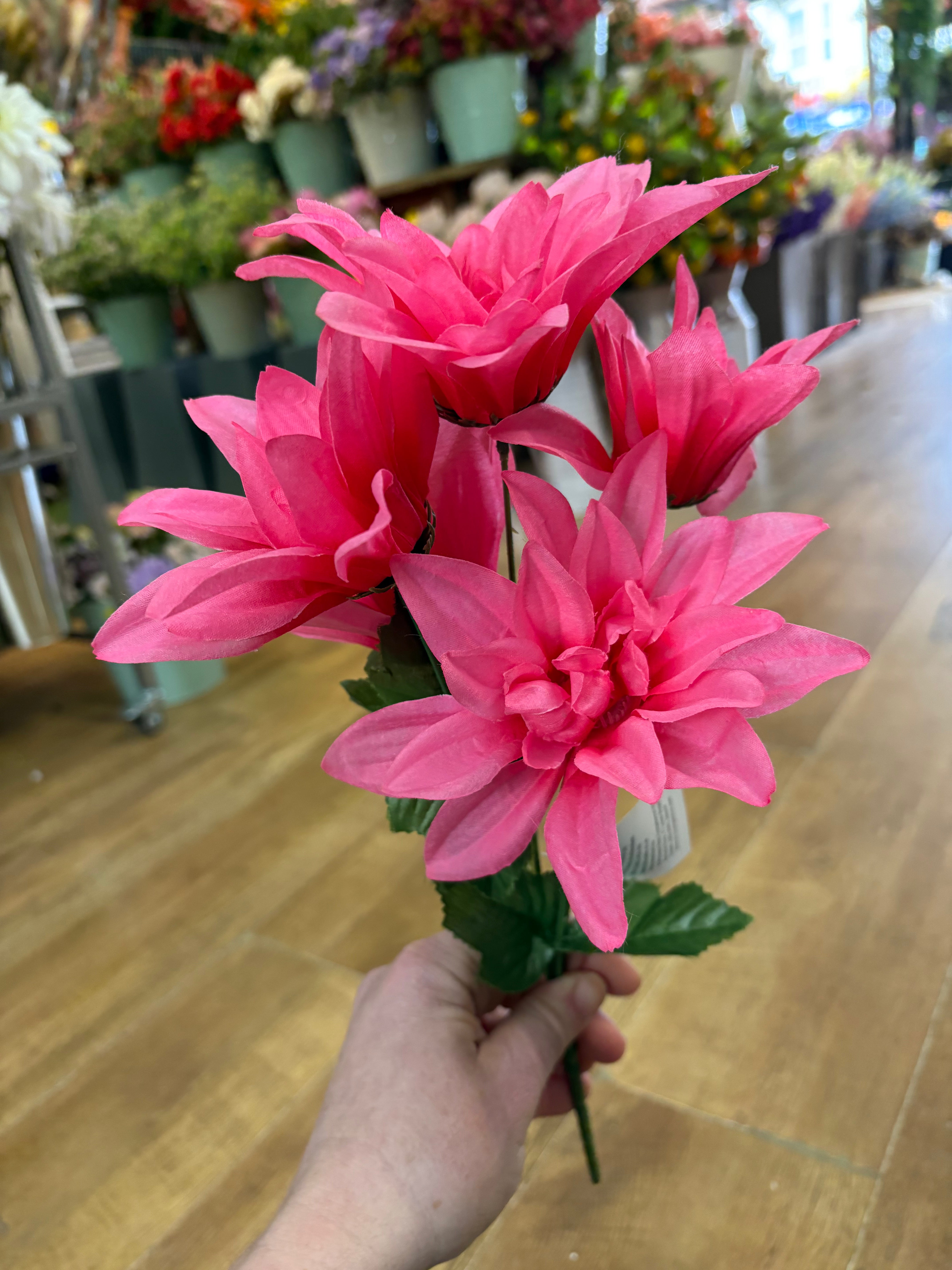 Dahlia bush - 4 colours available