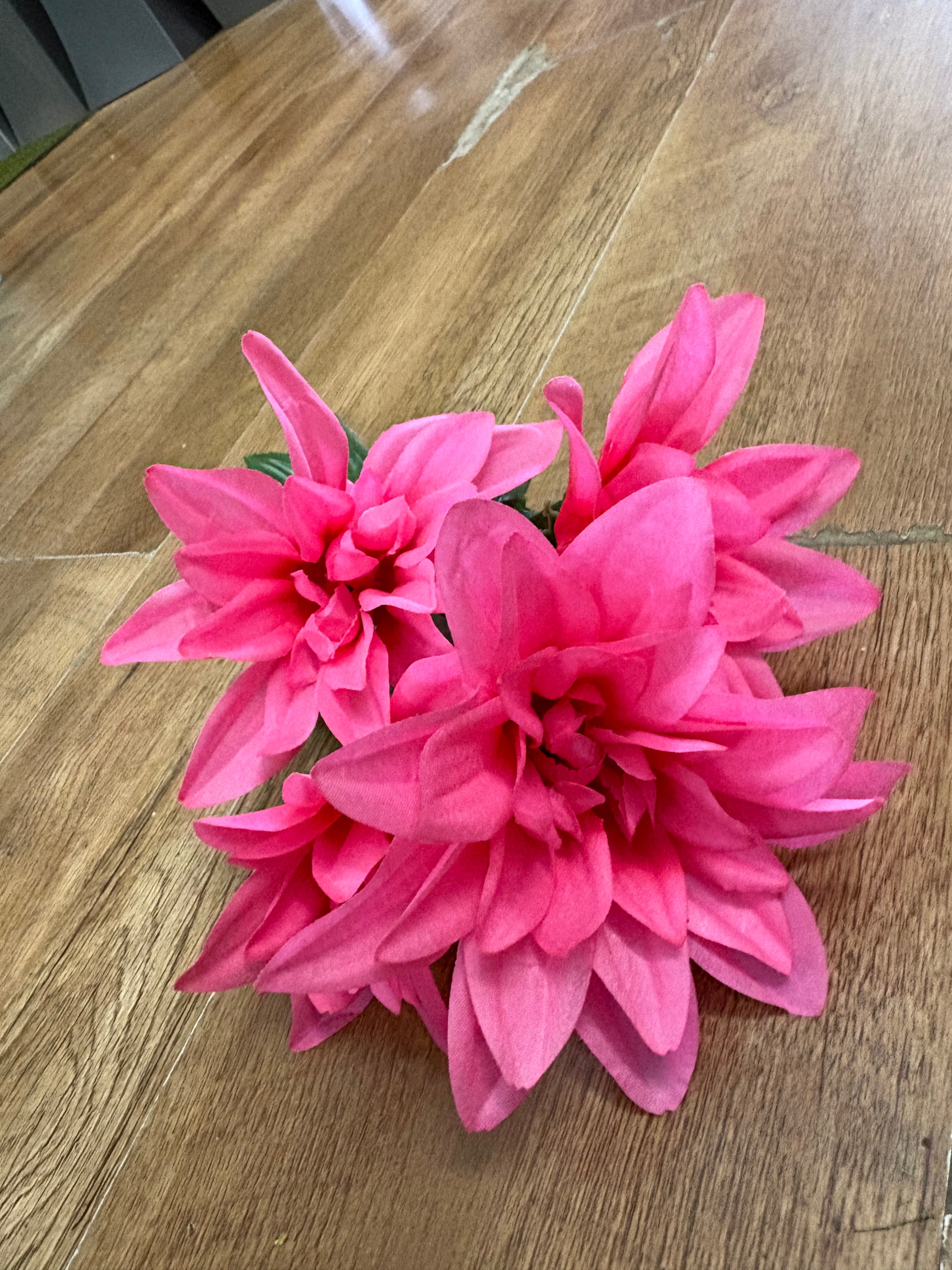 Dahlia bush - 4 colours available