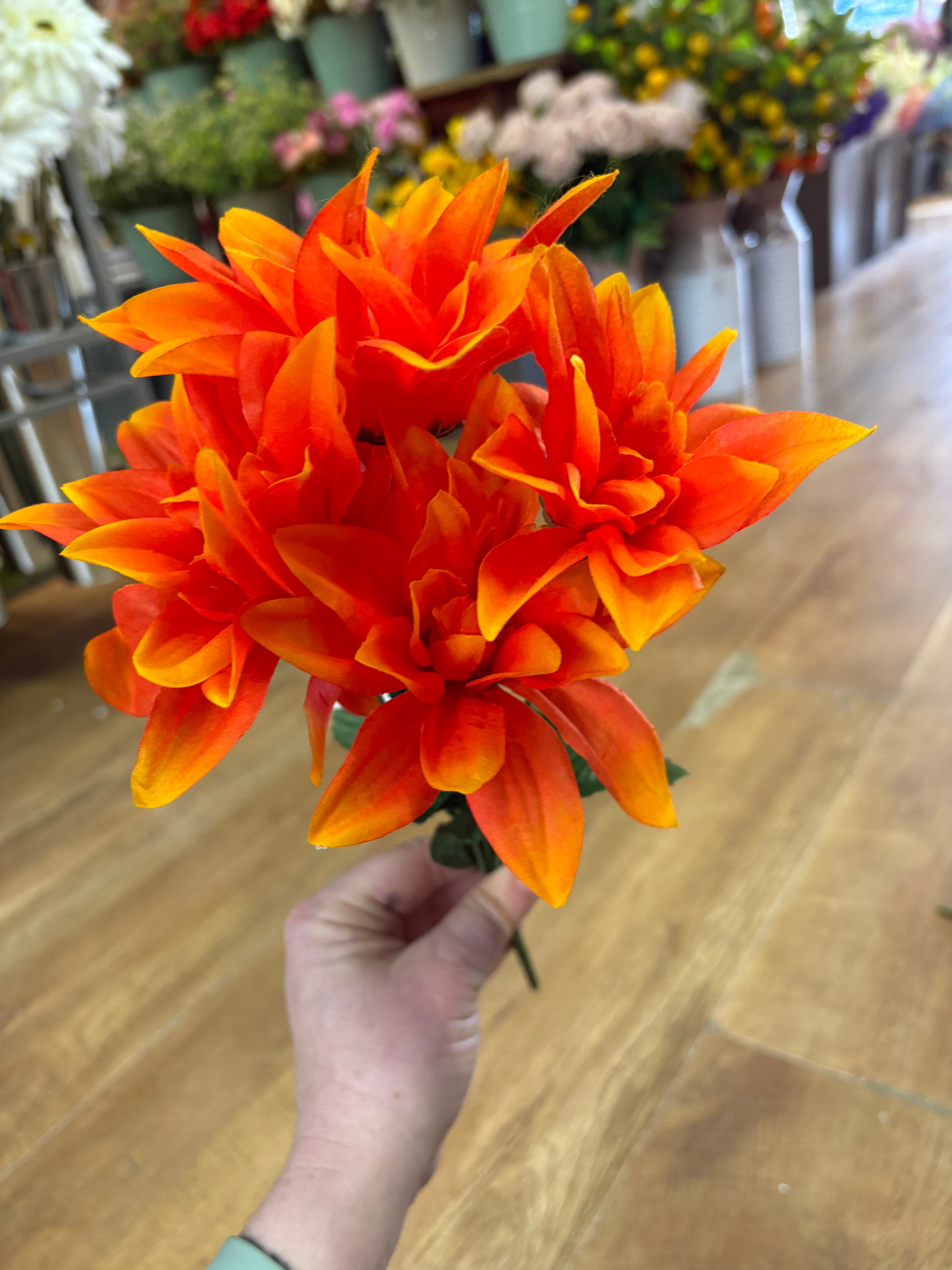 Dahlia bush - 4 colours available