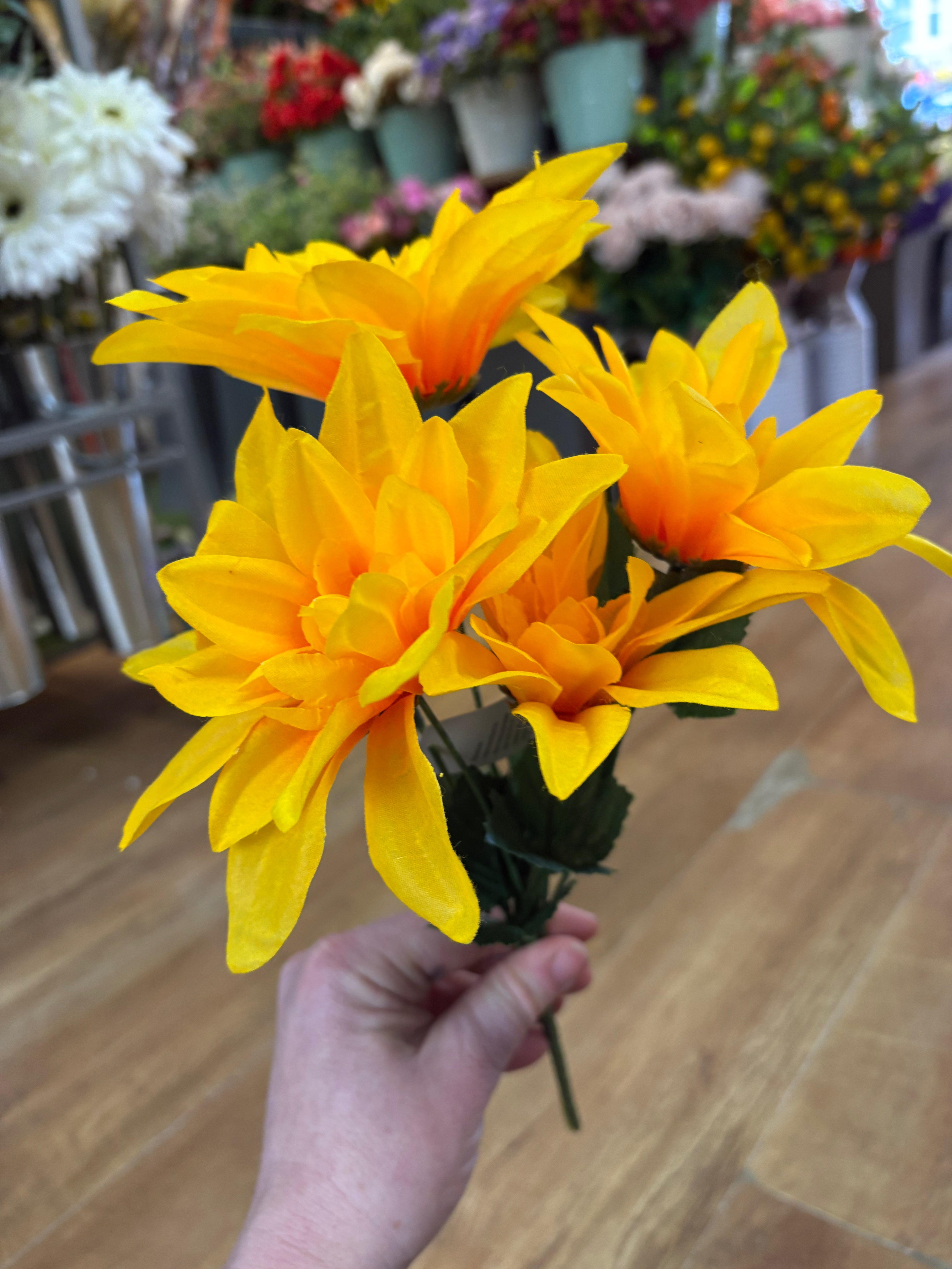 Dahlia bush - 4 colours available