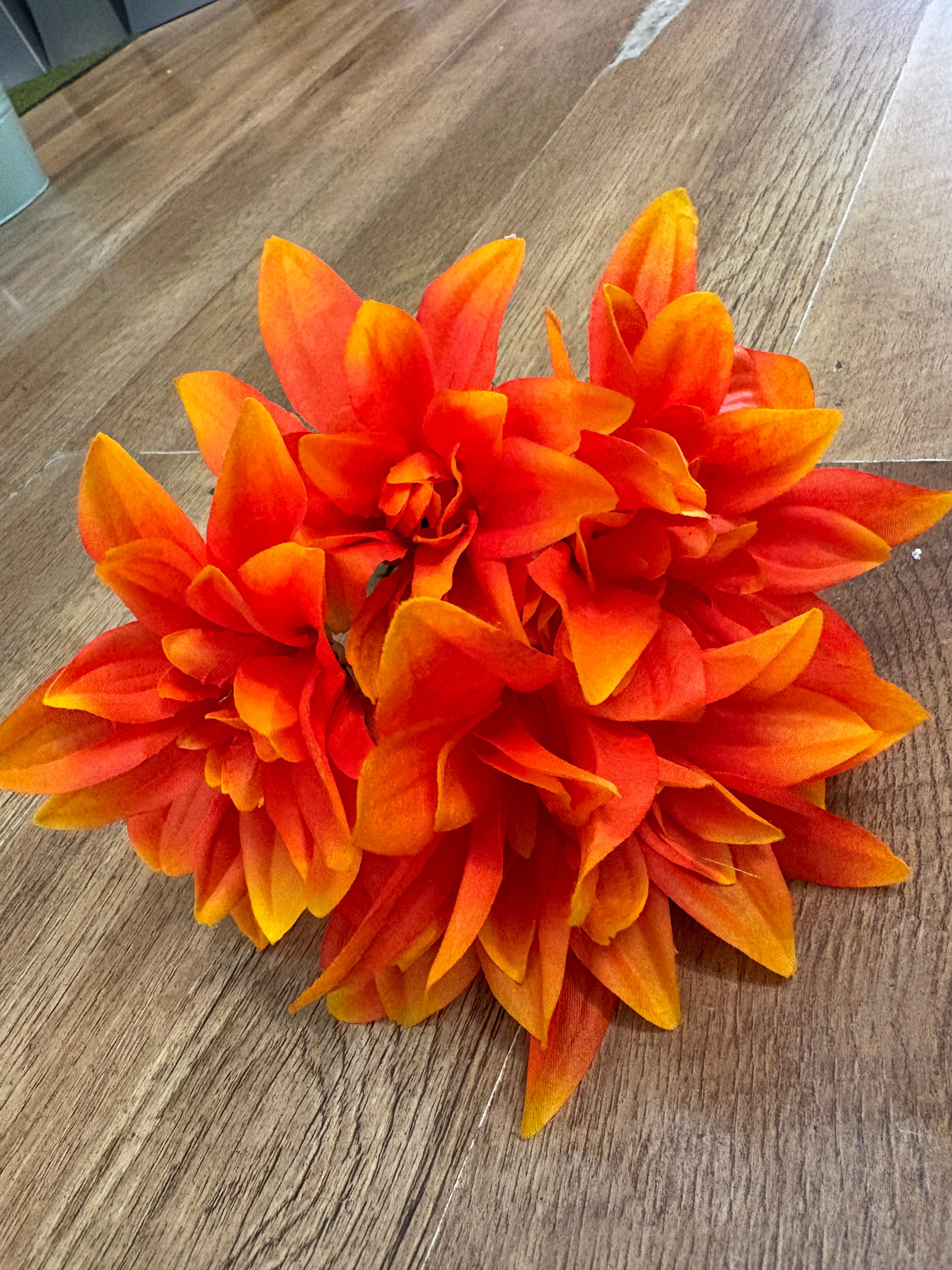 Dahlia bush - 4 colours available