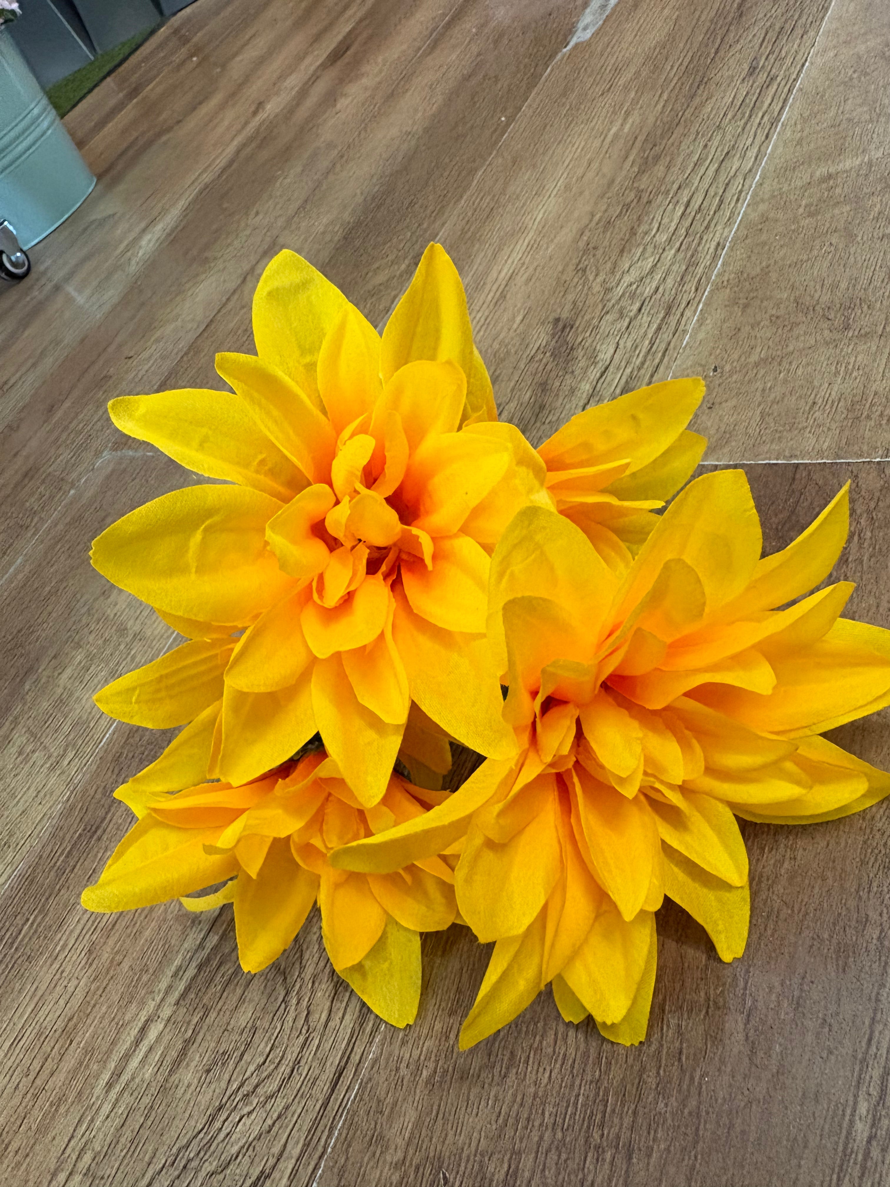 Dahlia bush - 4 colours available