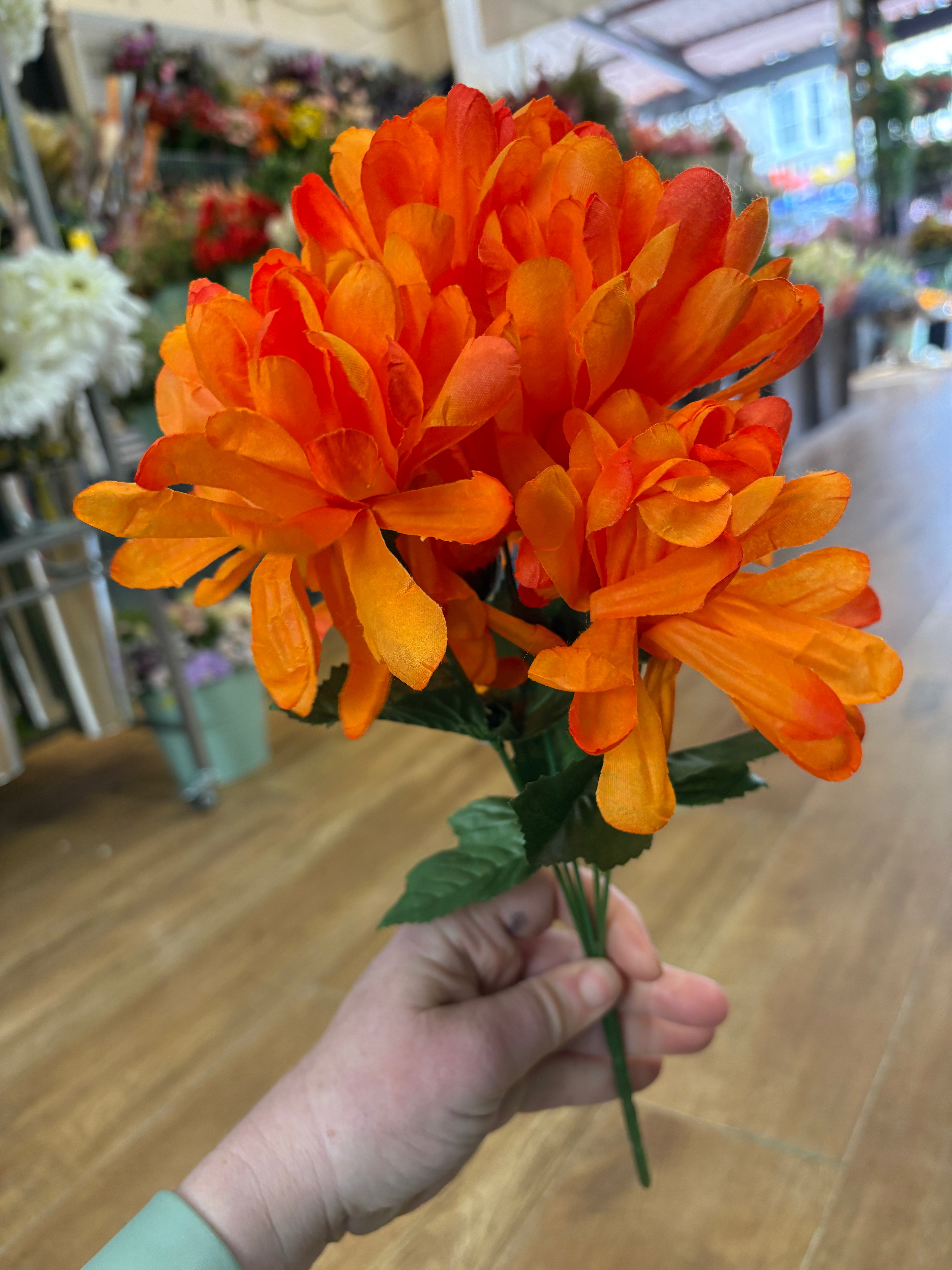 Ball mum bush - 4 colours available