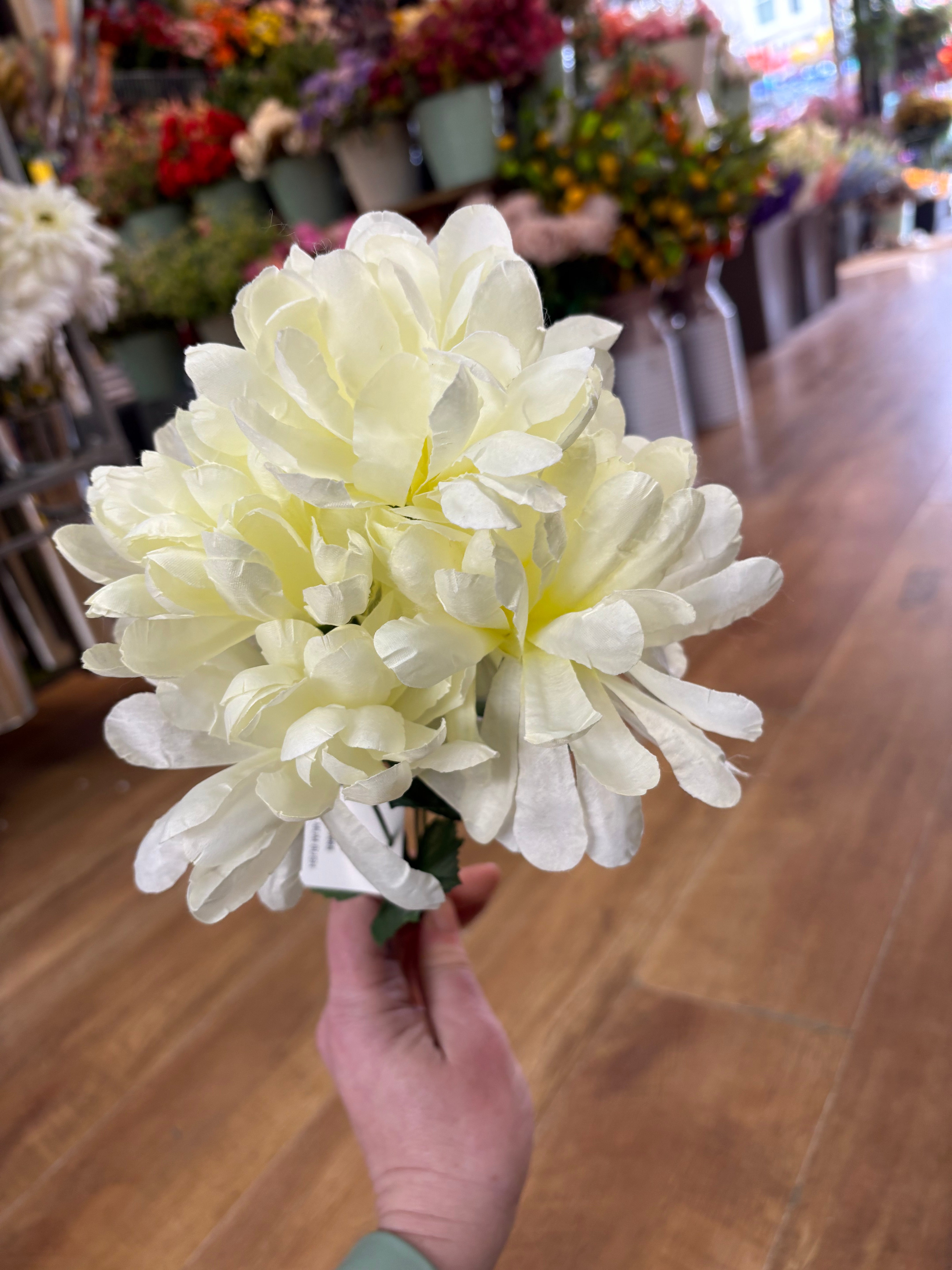 Ball mum bush - 4 colours available