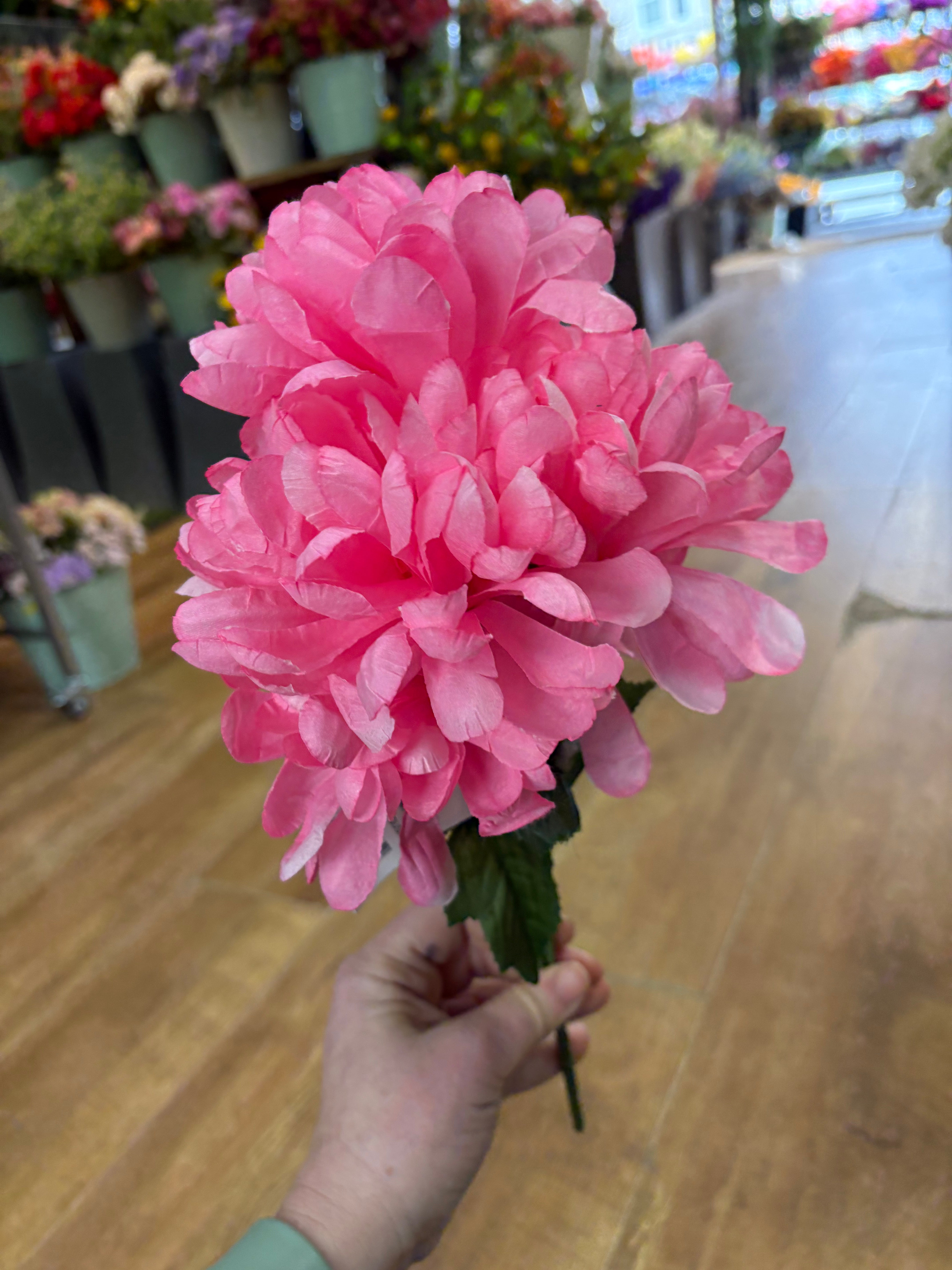Ball mum bush - 4 colours available