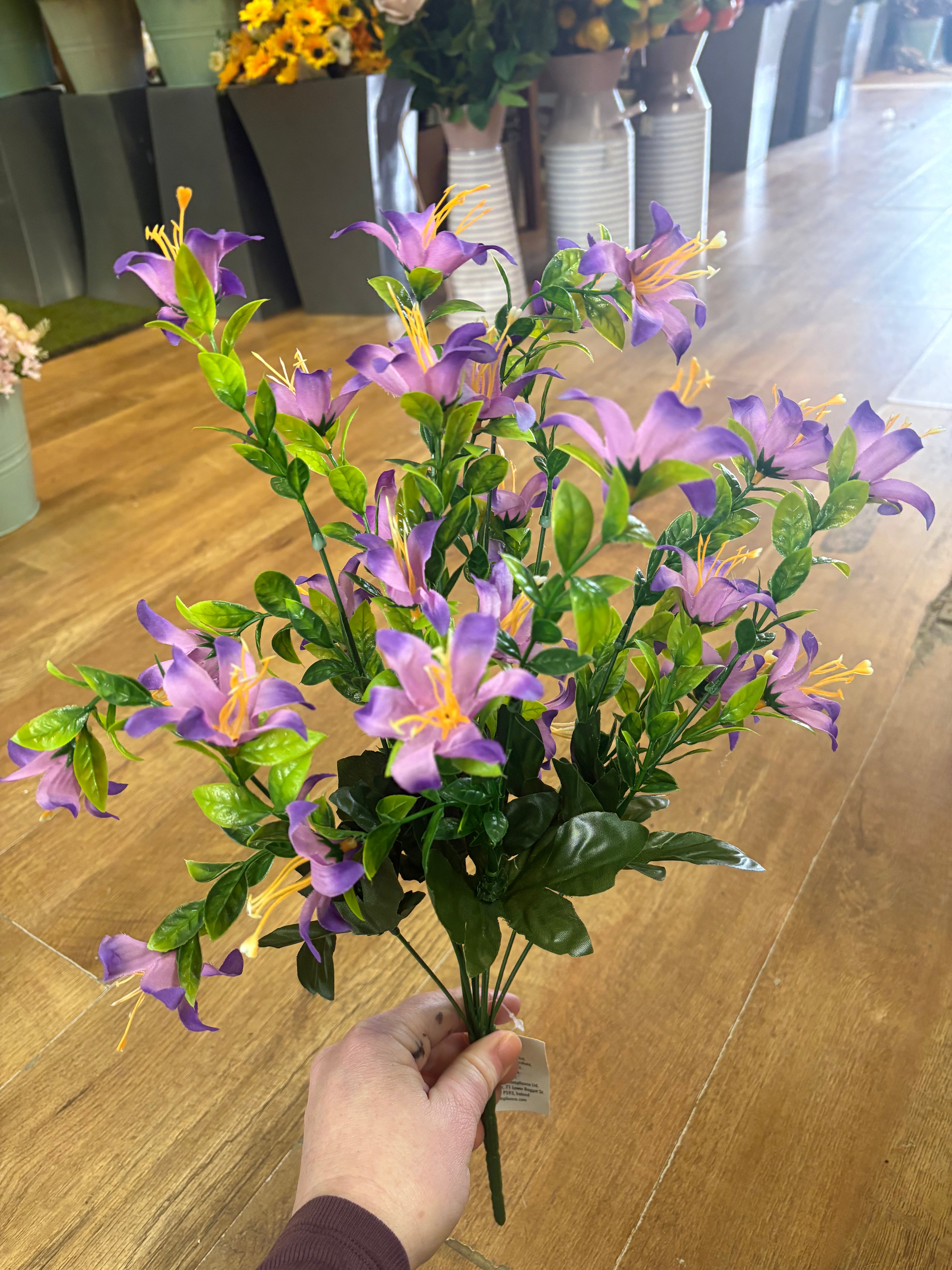 Large purple spring grass bunch