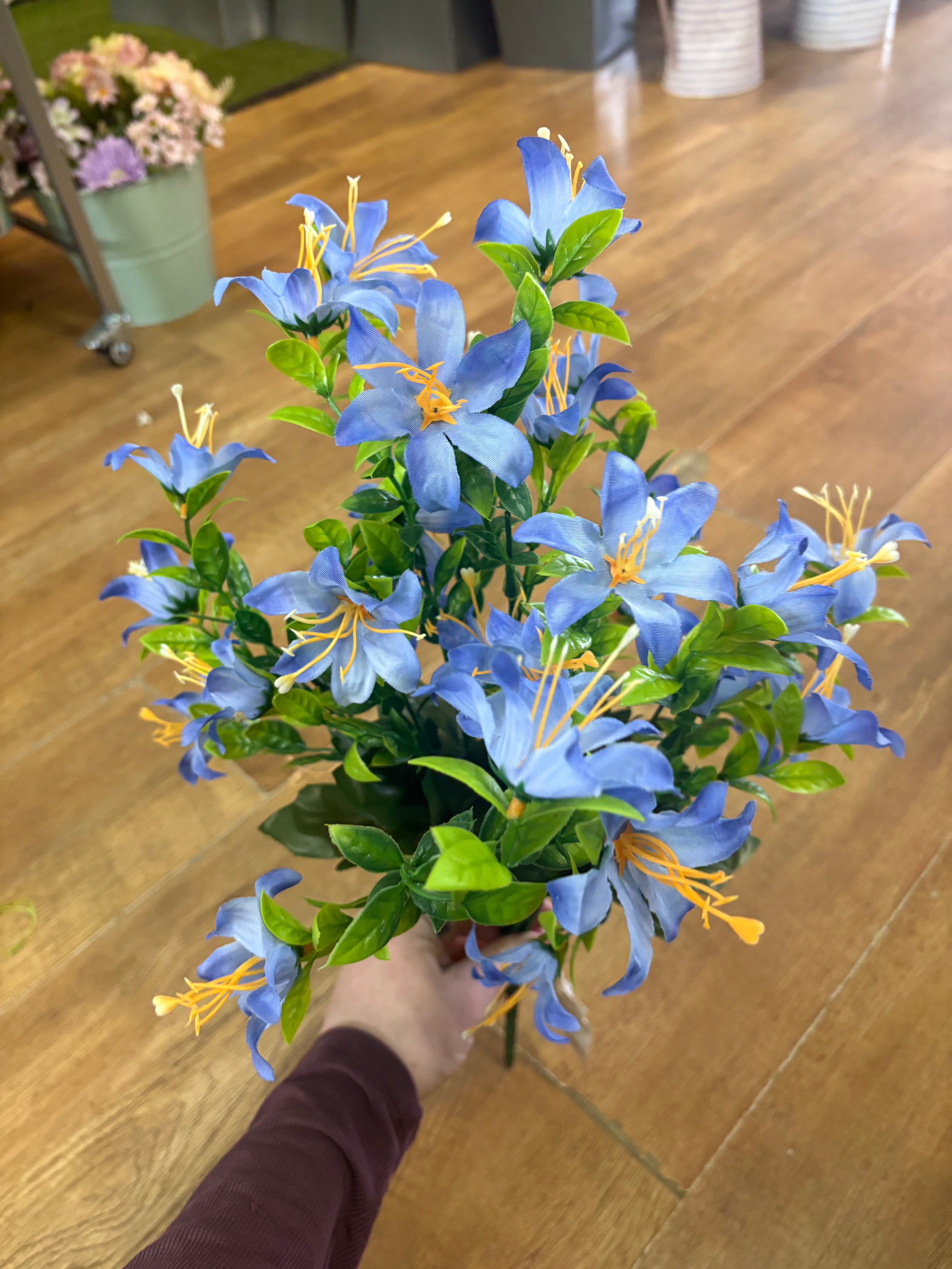 Large blue spring grass bunch