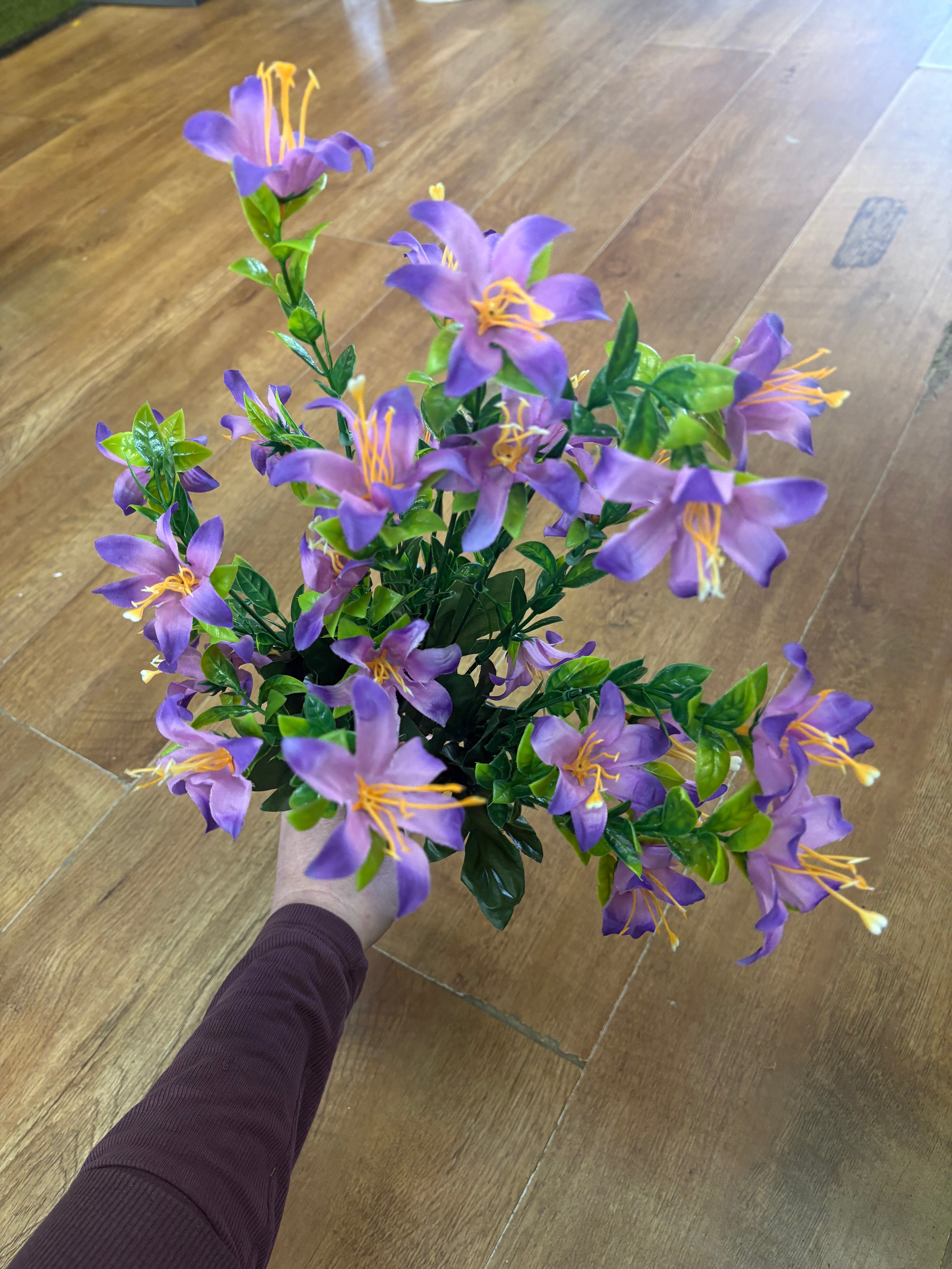 Large purple spring grass bunch