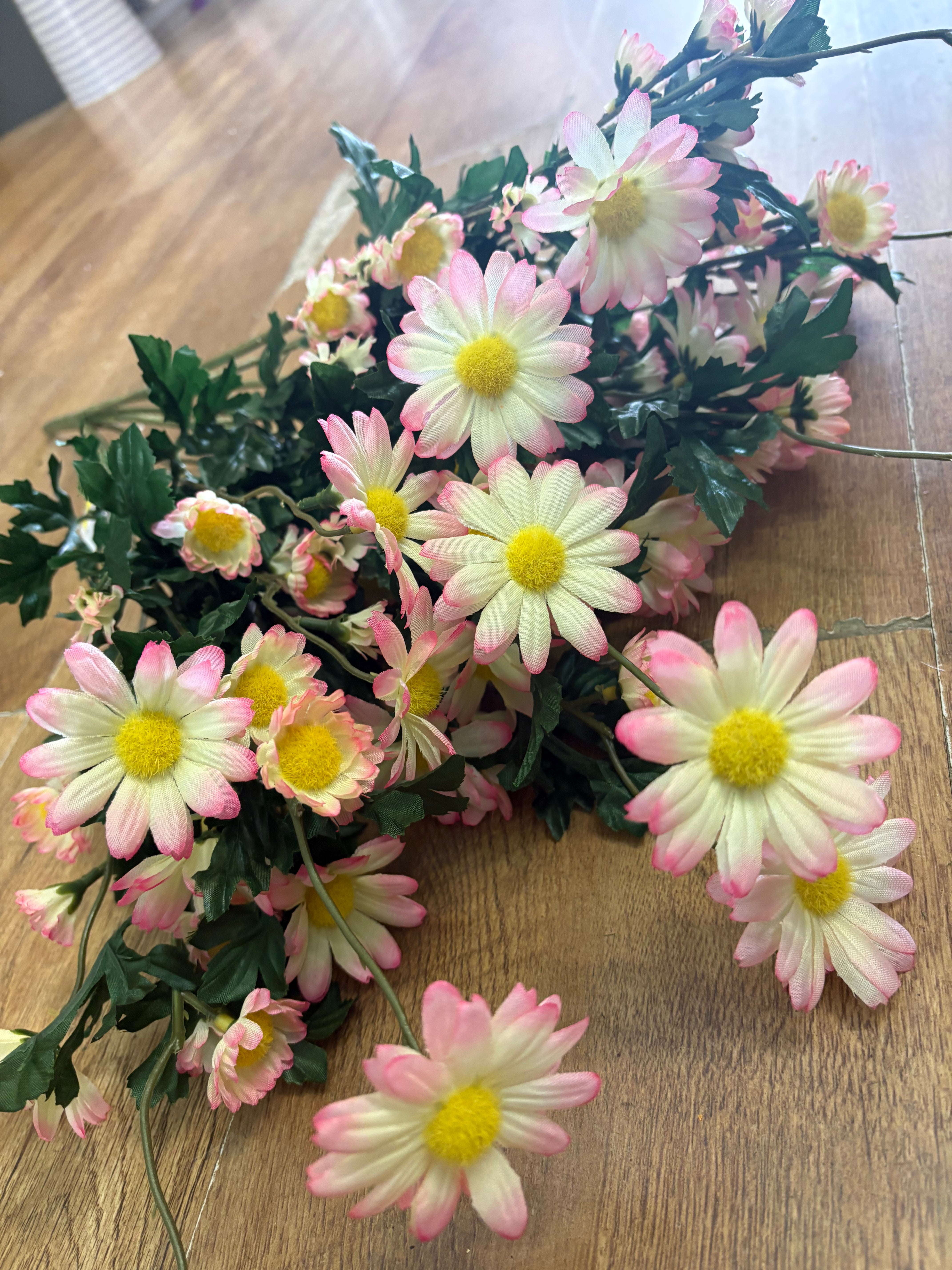 Large pink and cream mixed size daisy bunch