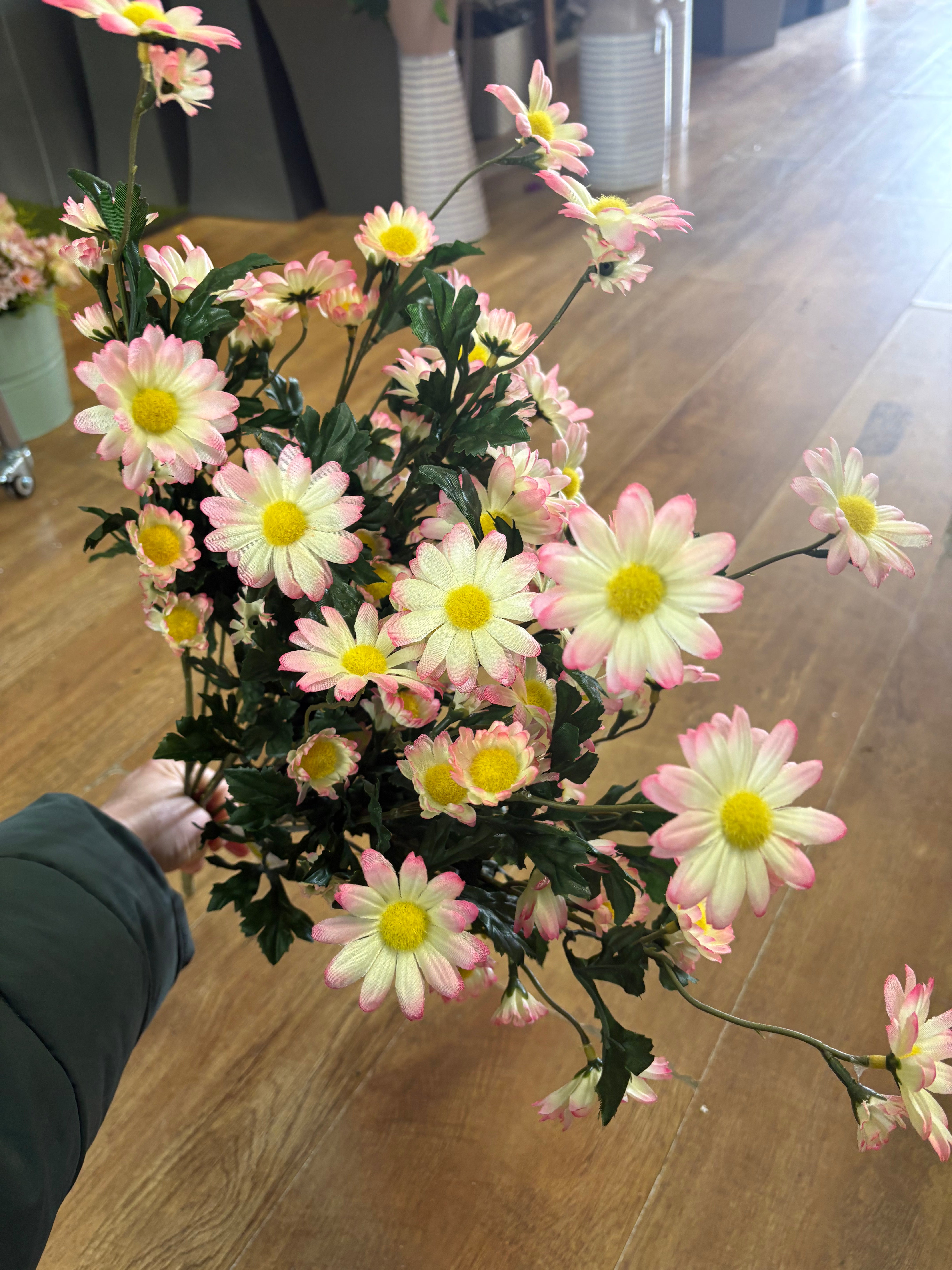 Large pink and cream mixed size daisy bunch