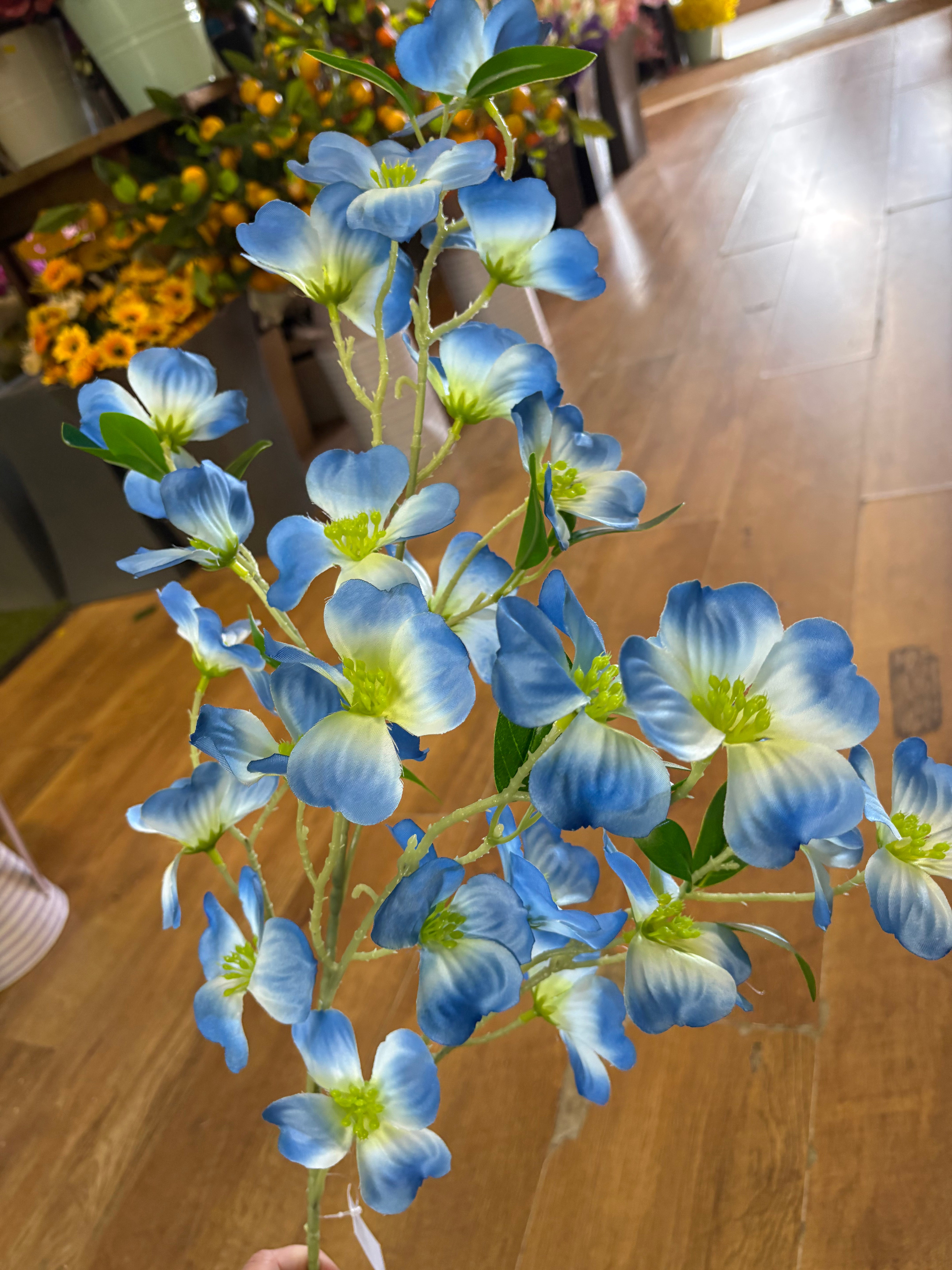 Long stem blue dogwood spray
