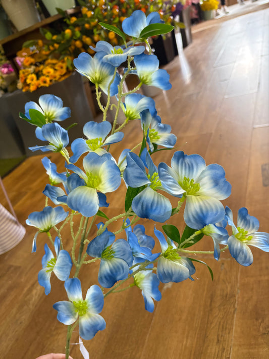 Long stem blue dogwood spray