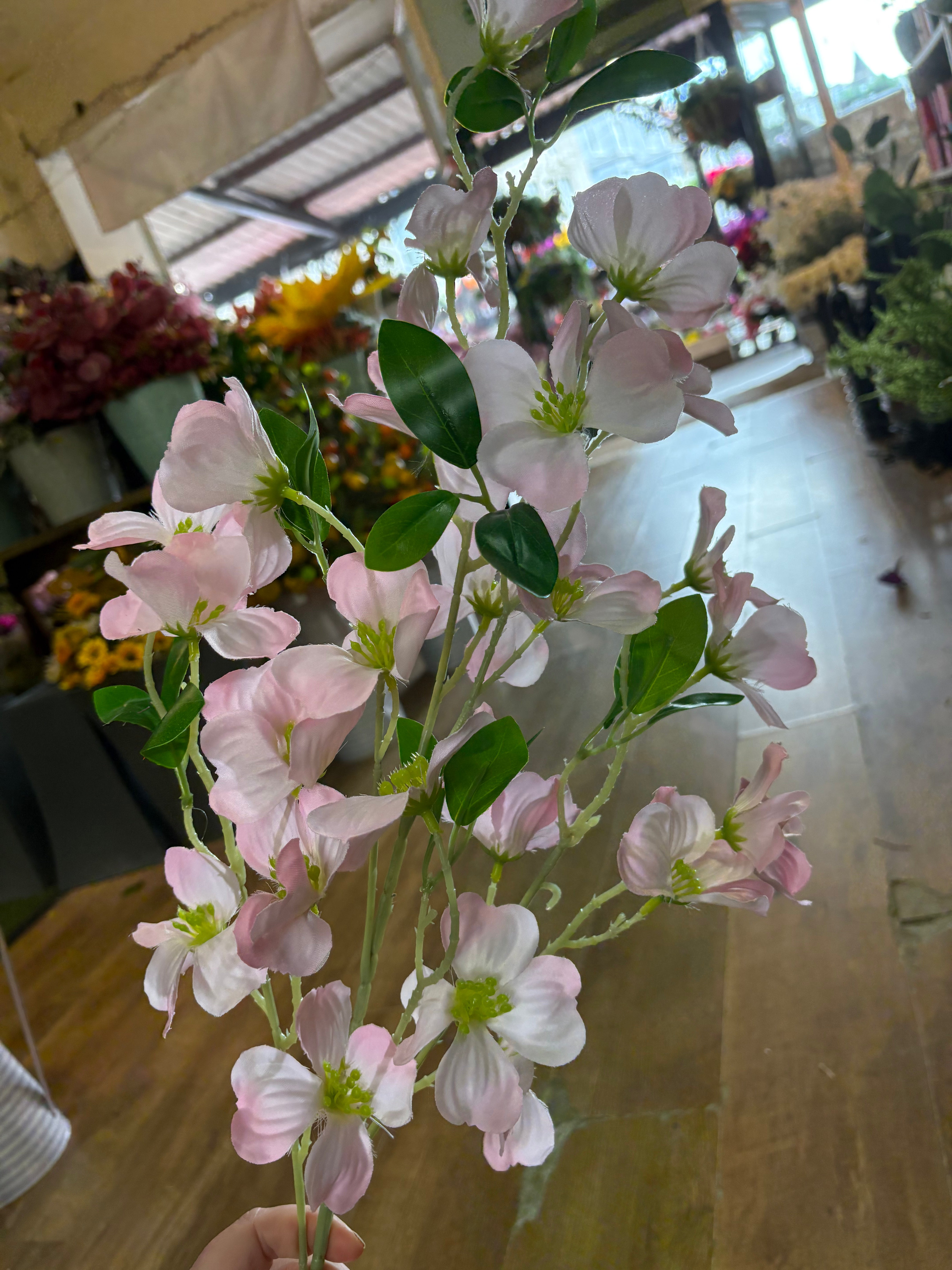 Long stem pink dogwood spray