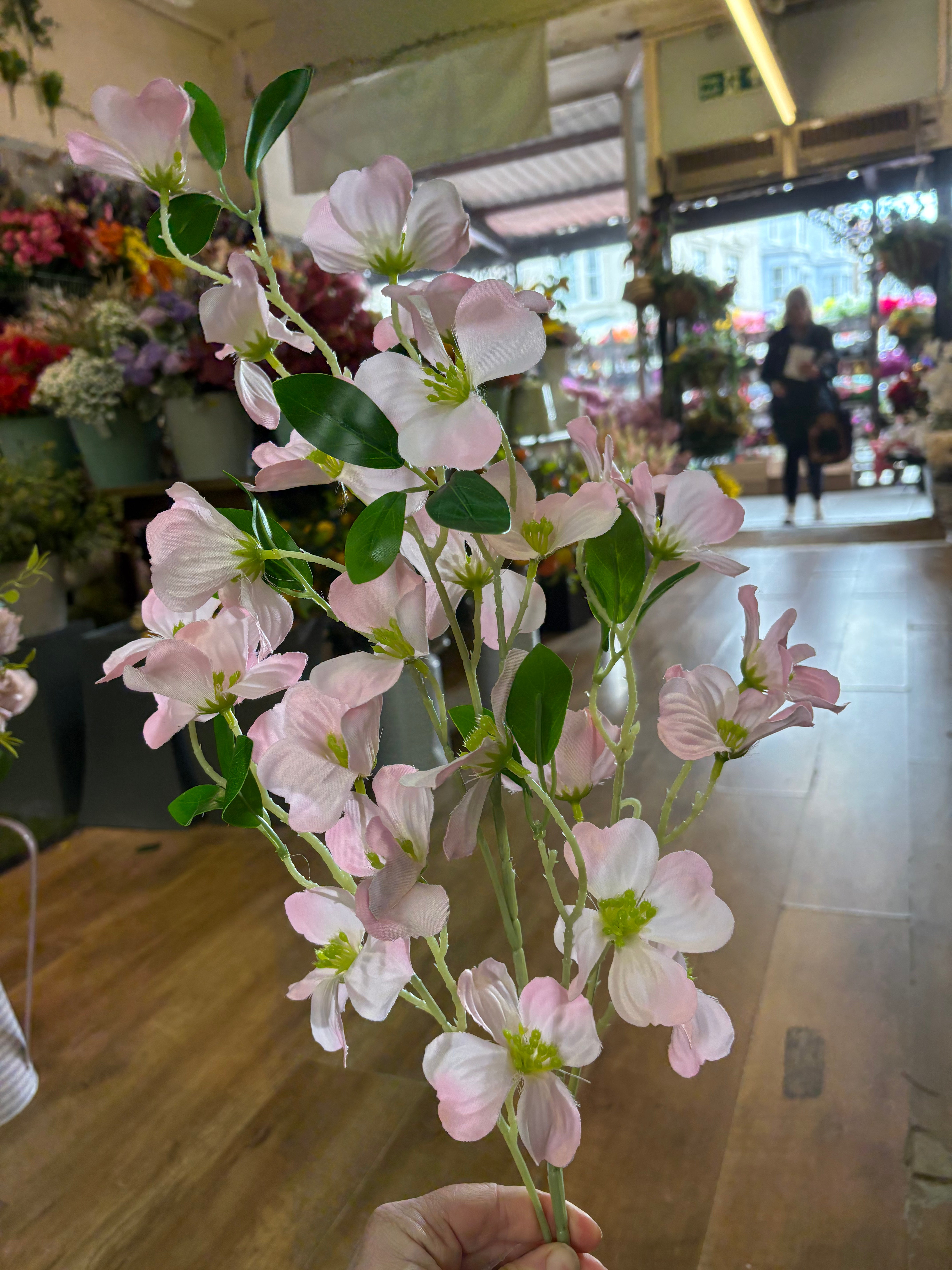 Long stem pink dogwood spray