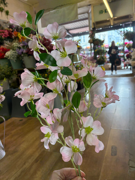 Long stem pink dogwood spray