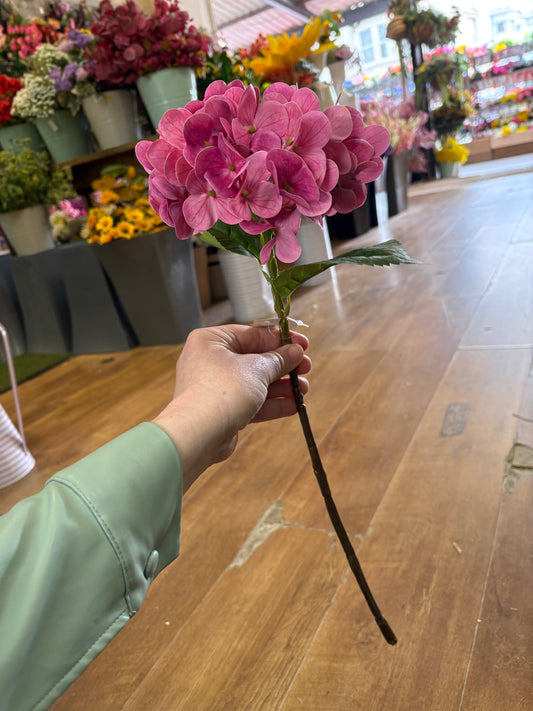 Medium length deep pink single hydrangea