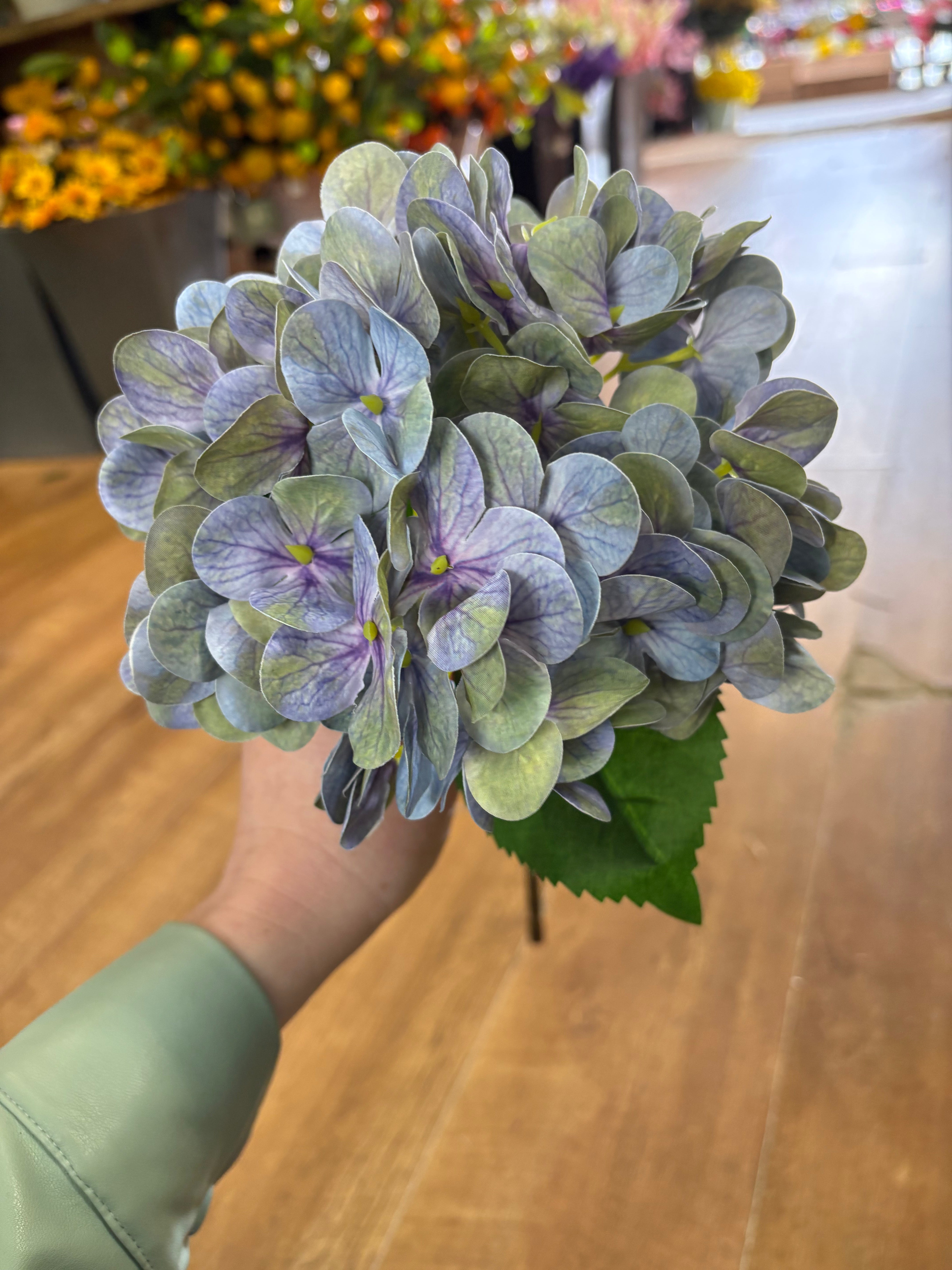 Medium length blue/green single hydrangea