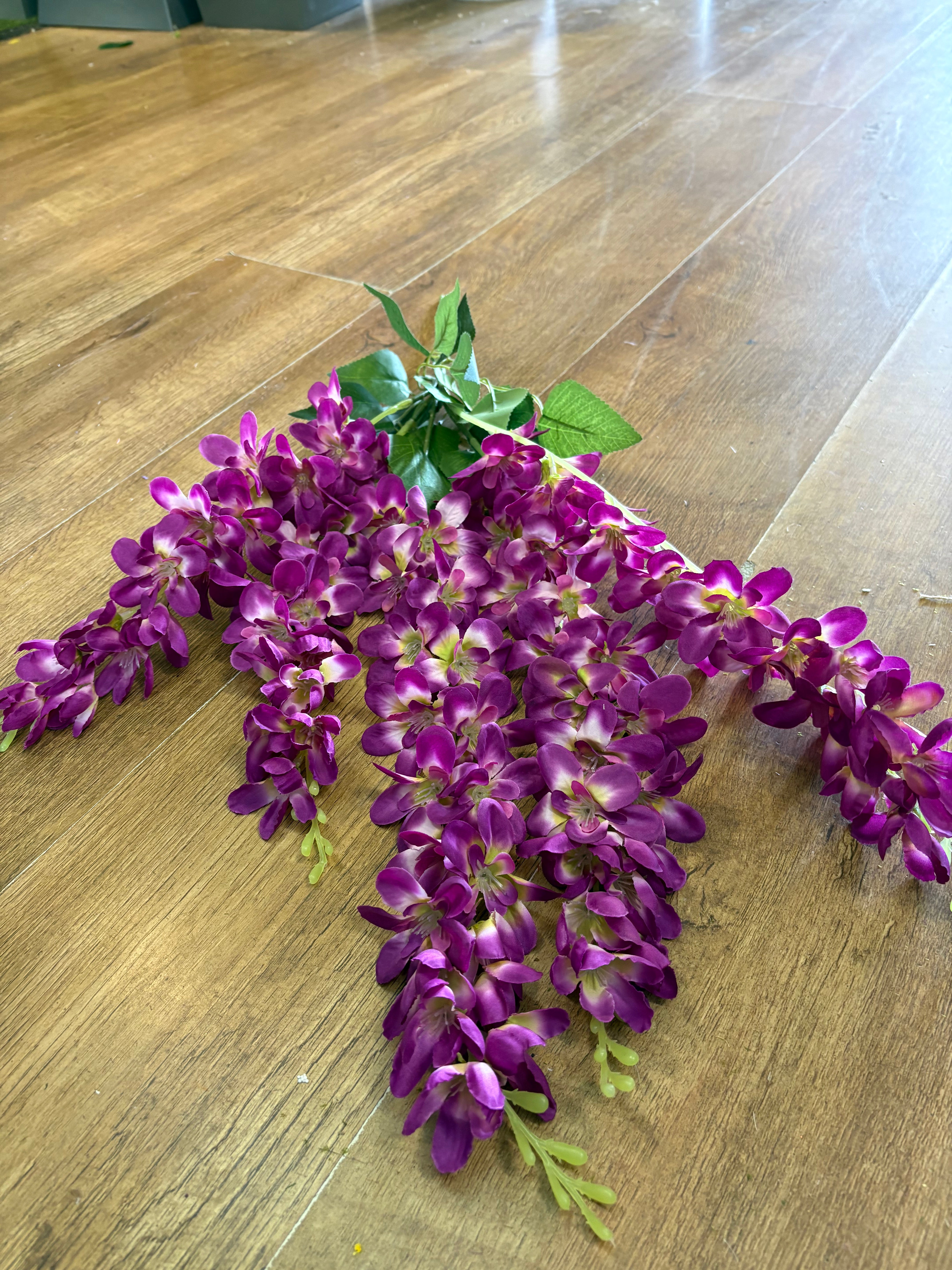 Magenta wisteria bunch