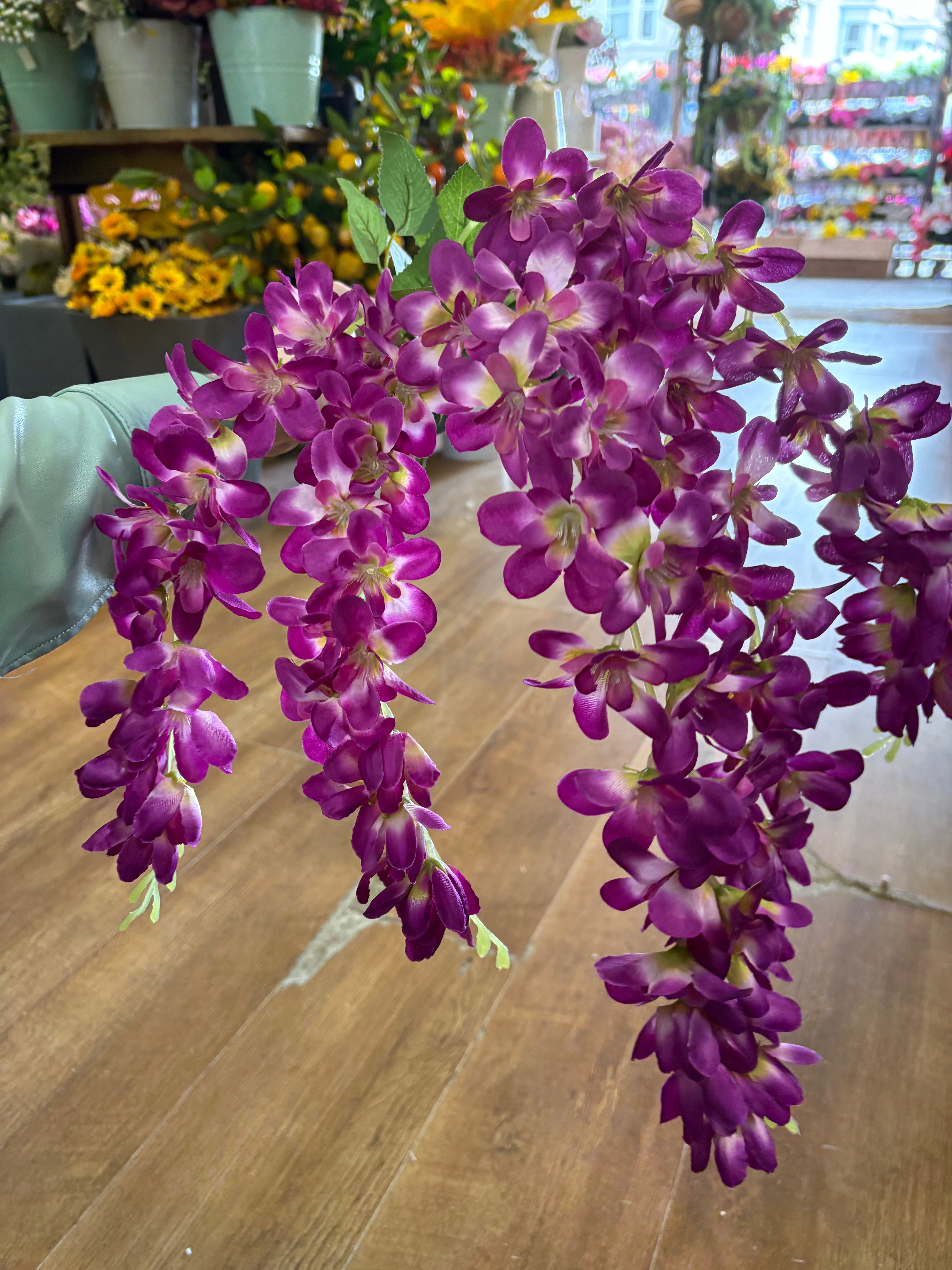 Magenta wisteria bunch