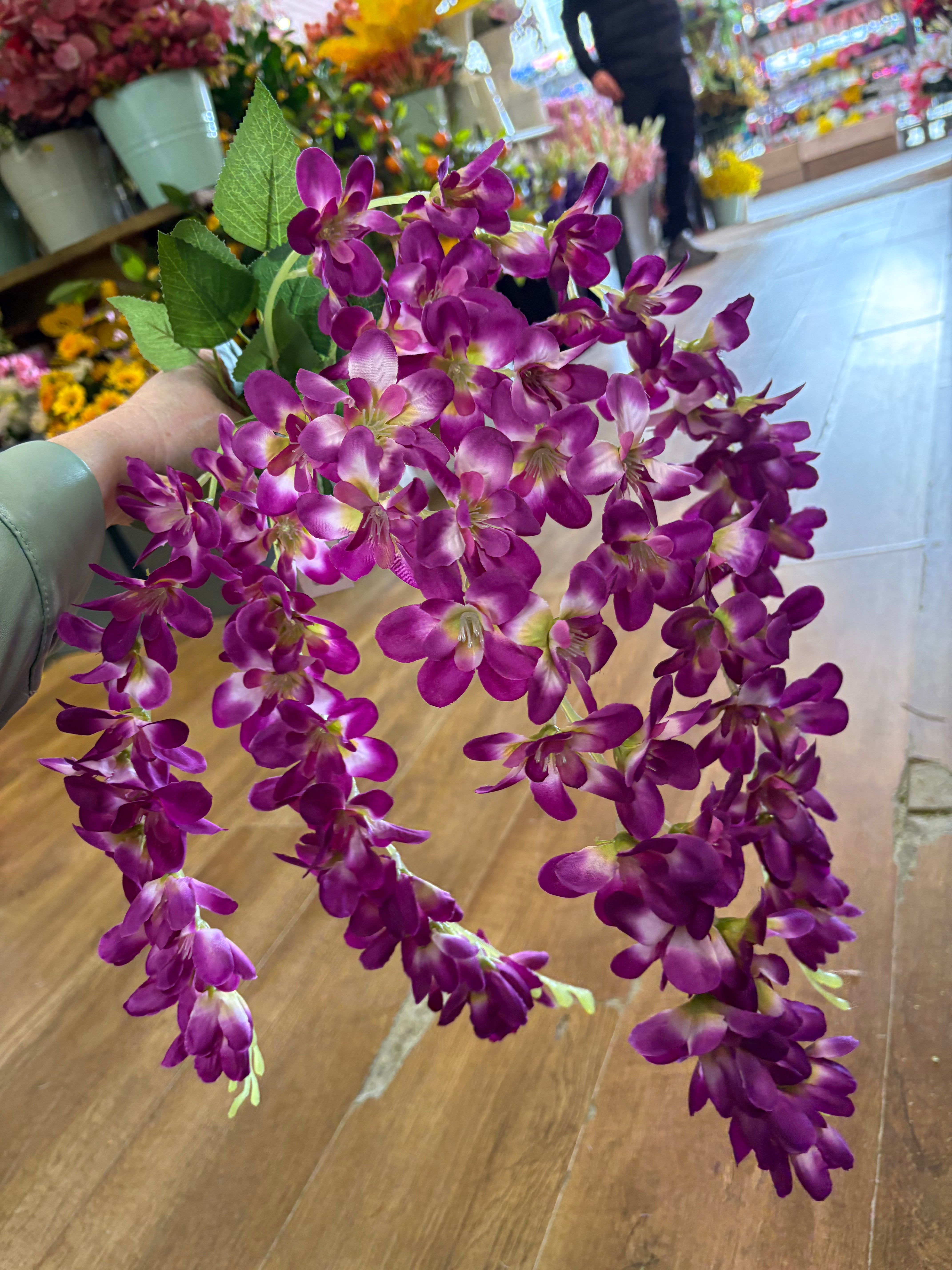 Magenta wisteria bunch