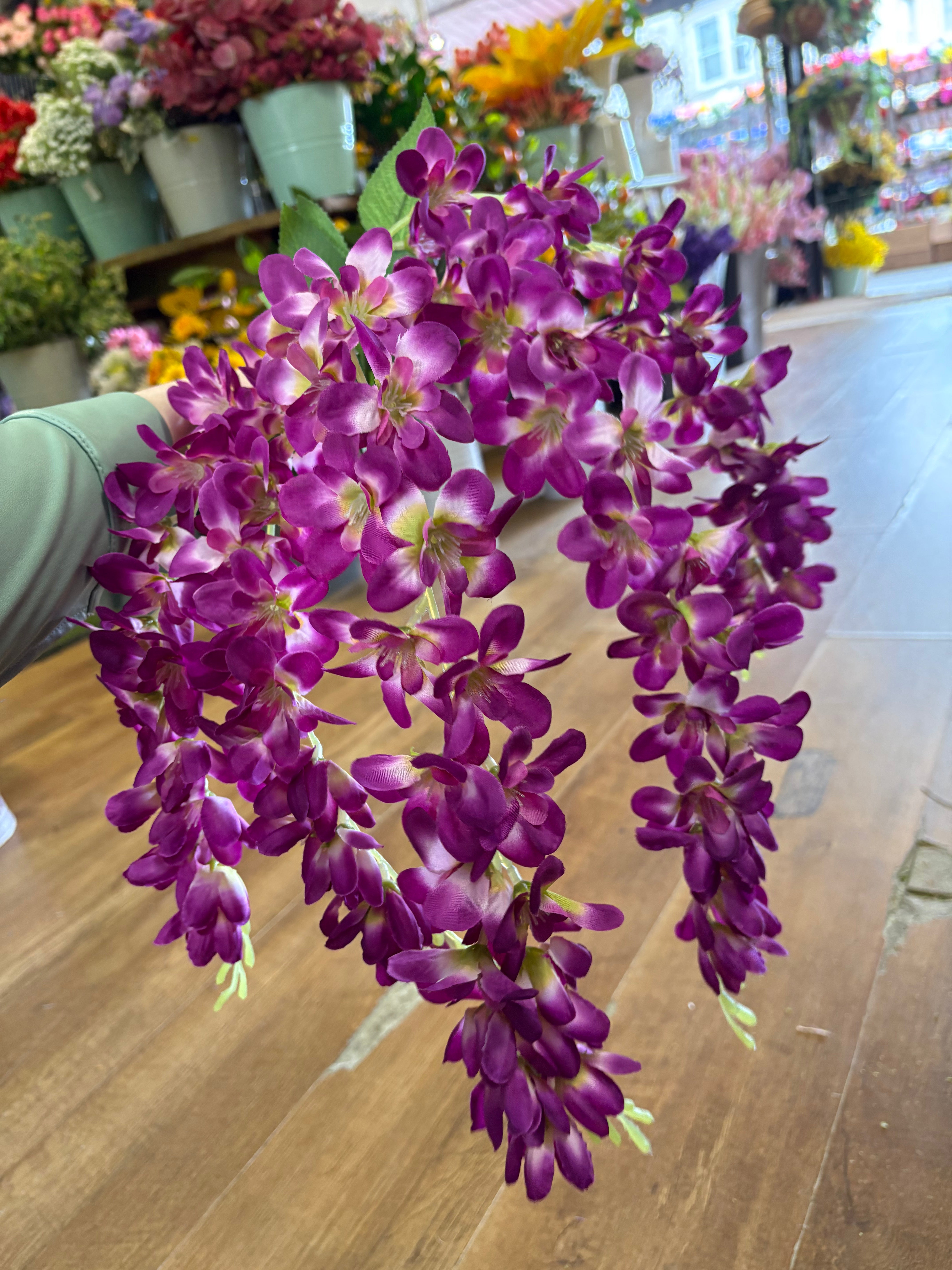 Magenta wisteria bunch