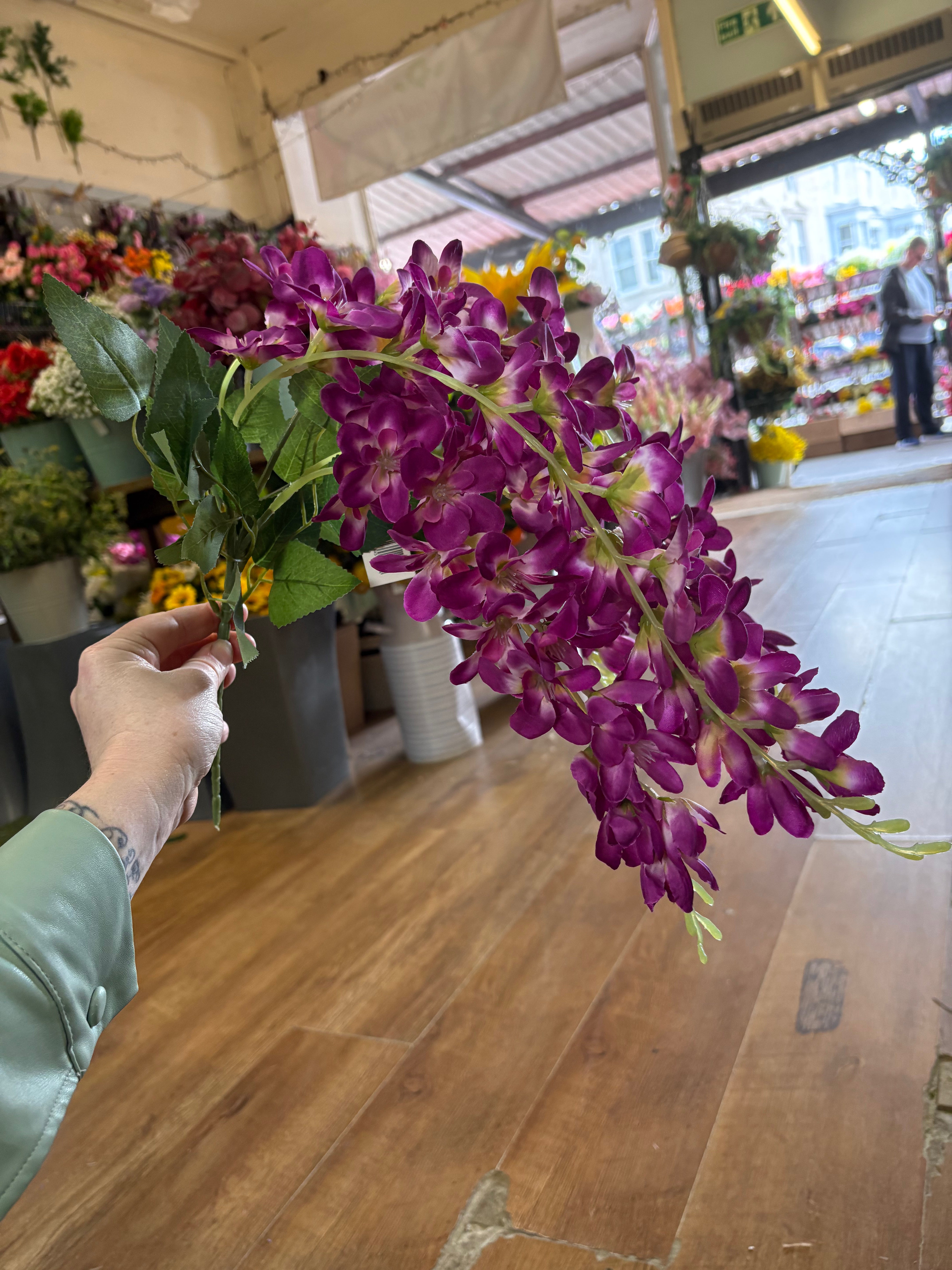 Magenta wisteria bunch