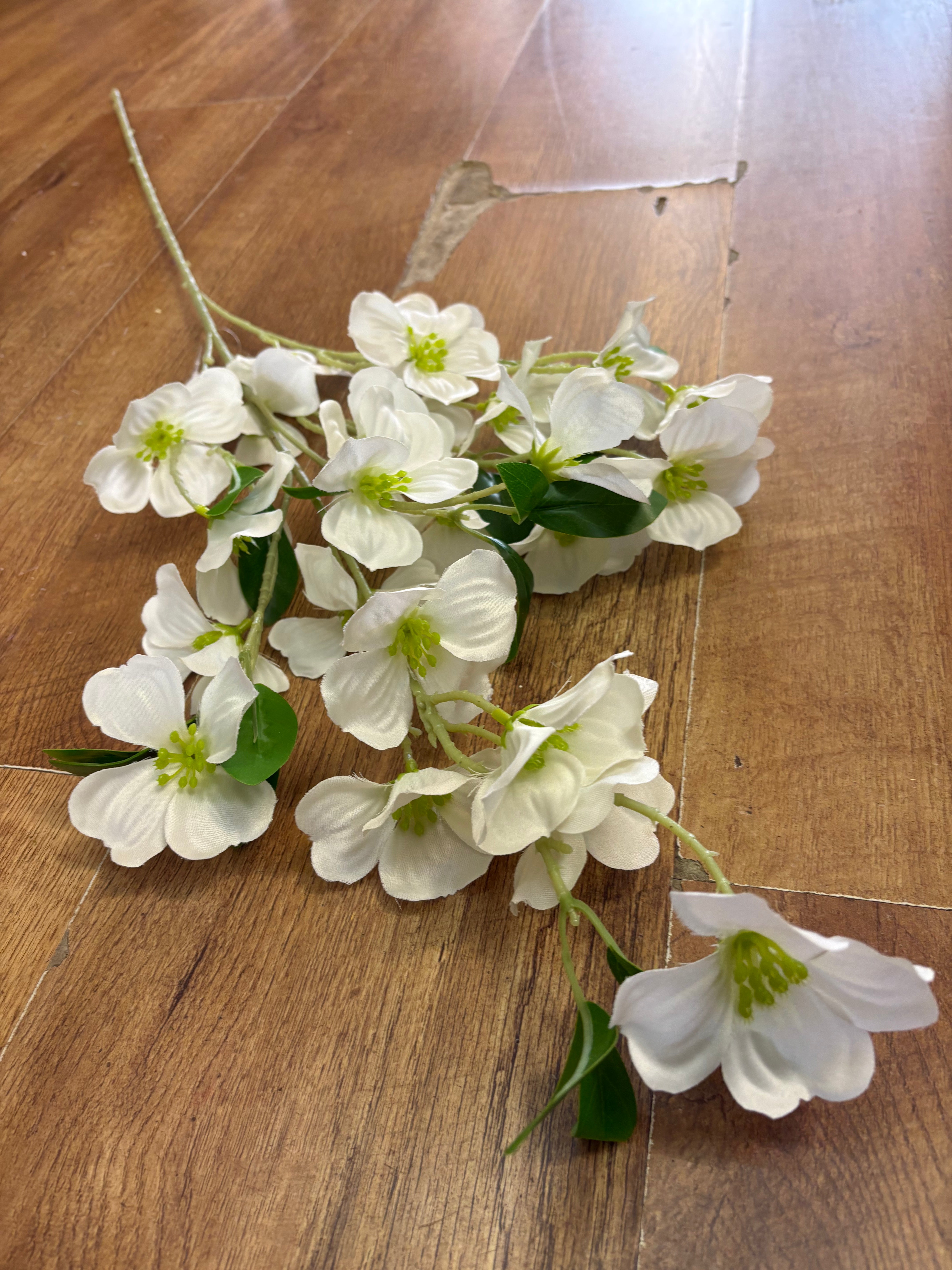 Long stem white dogwood spray