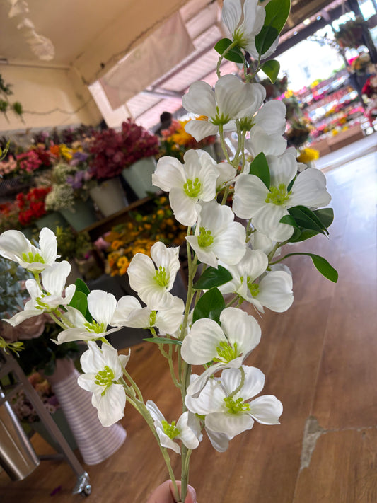 Long stem white dogwood spray