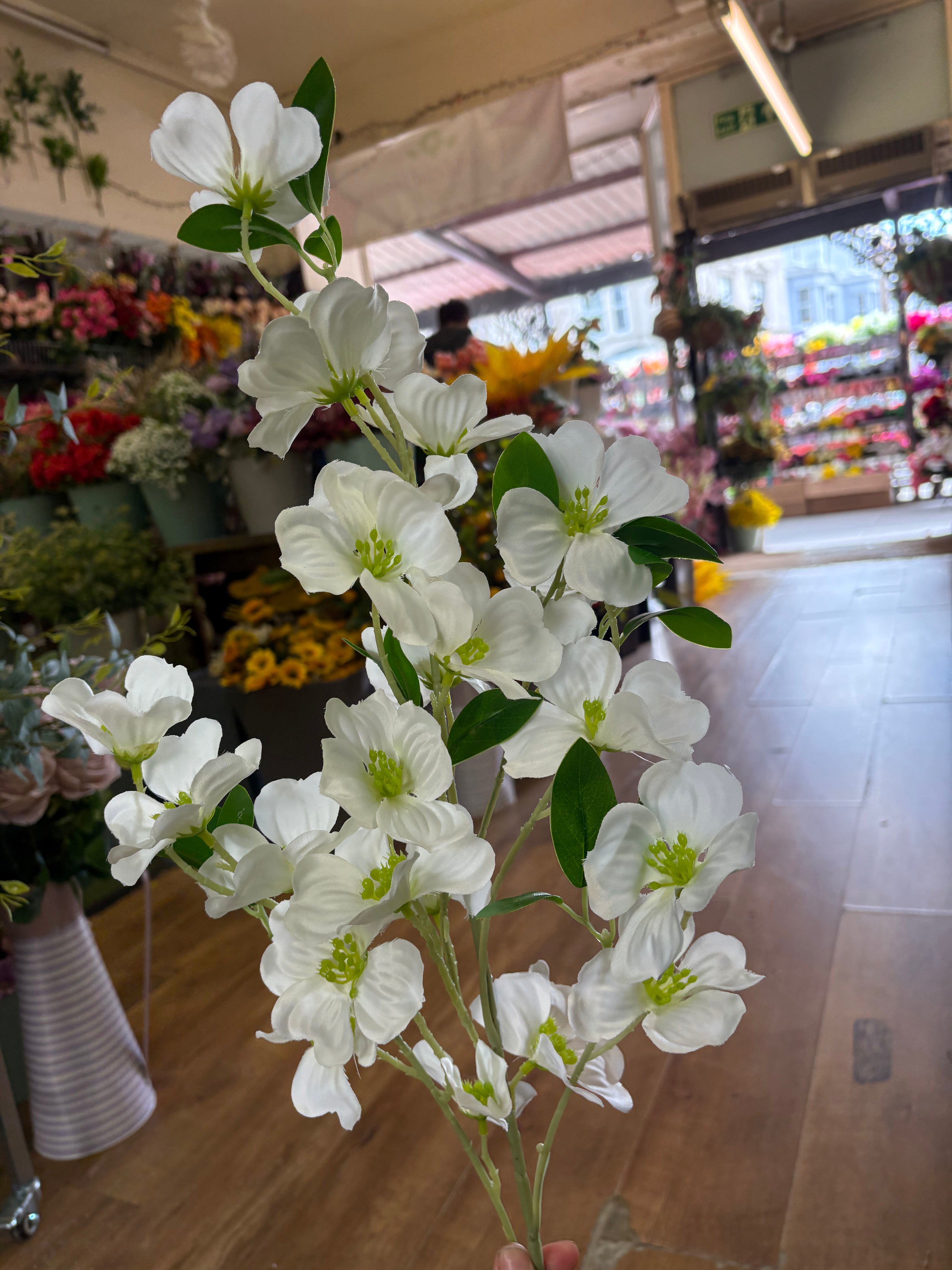 Long stem white dogwood spray