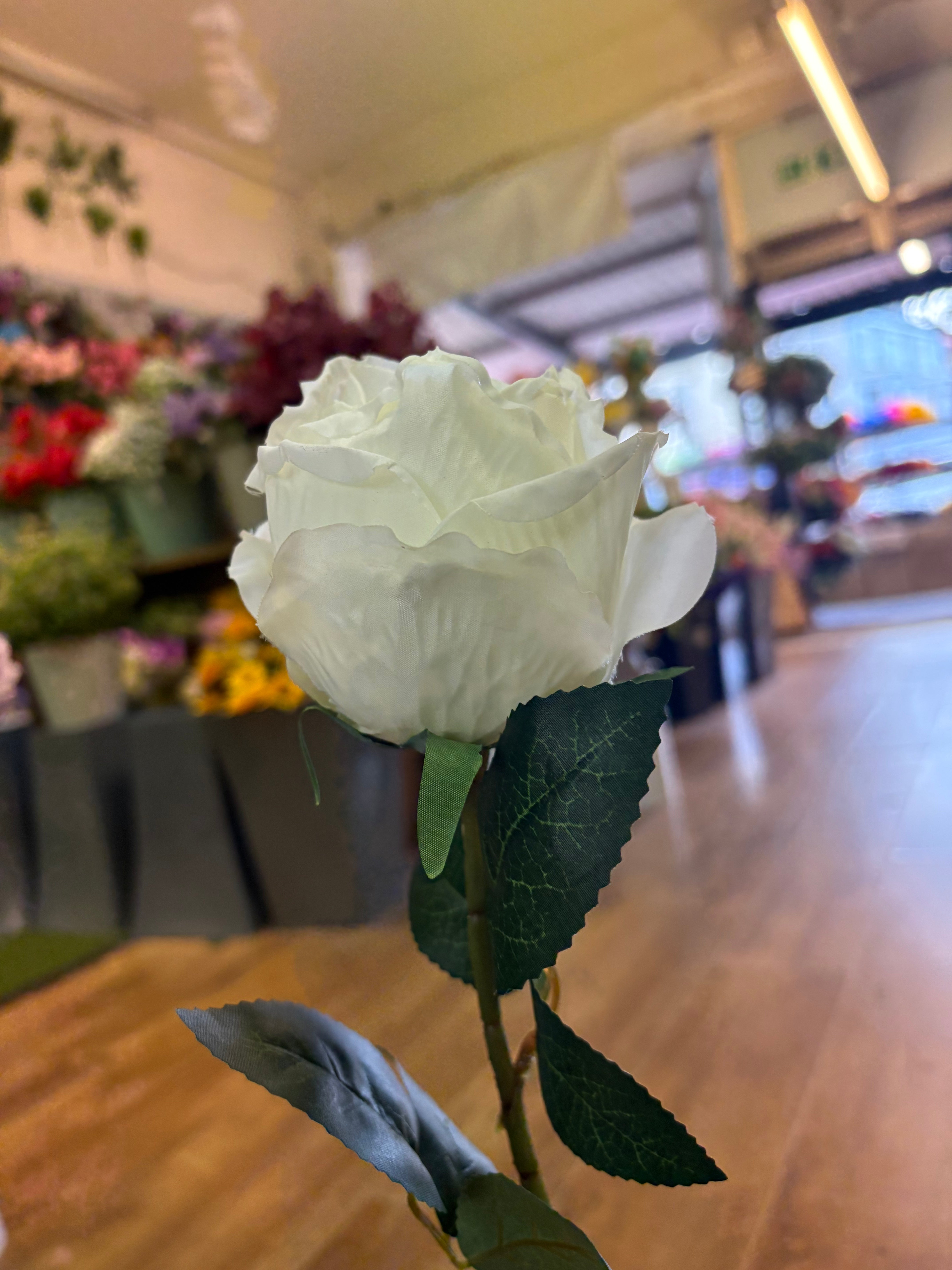 Dried inspired ivory globe rose