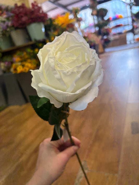 Dried inspired ivory globe rose