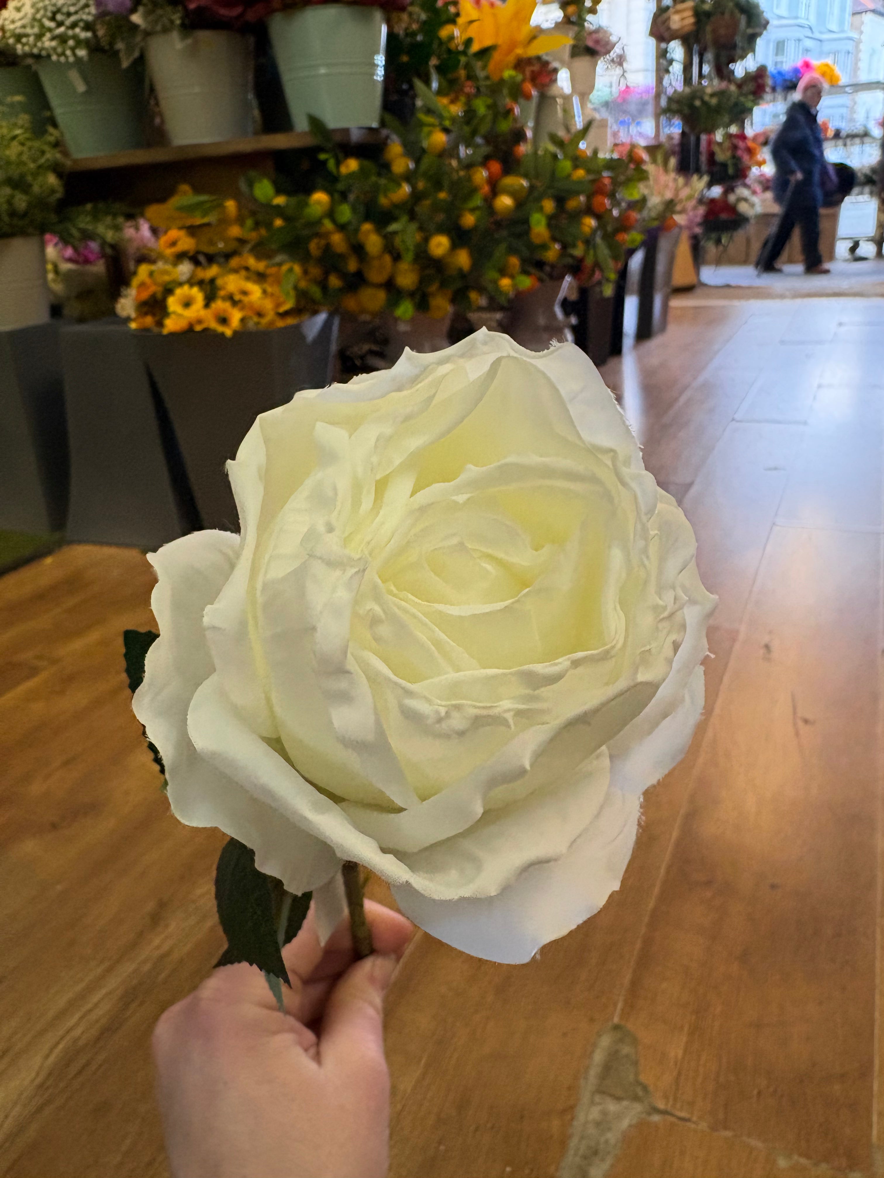 Dried inspired ivory globe rose