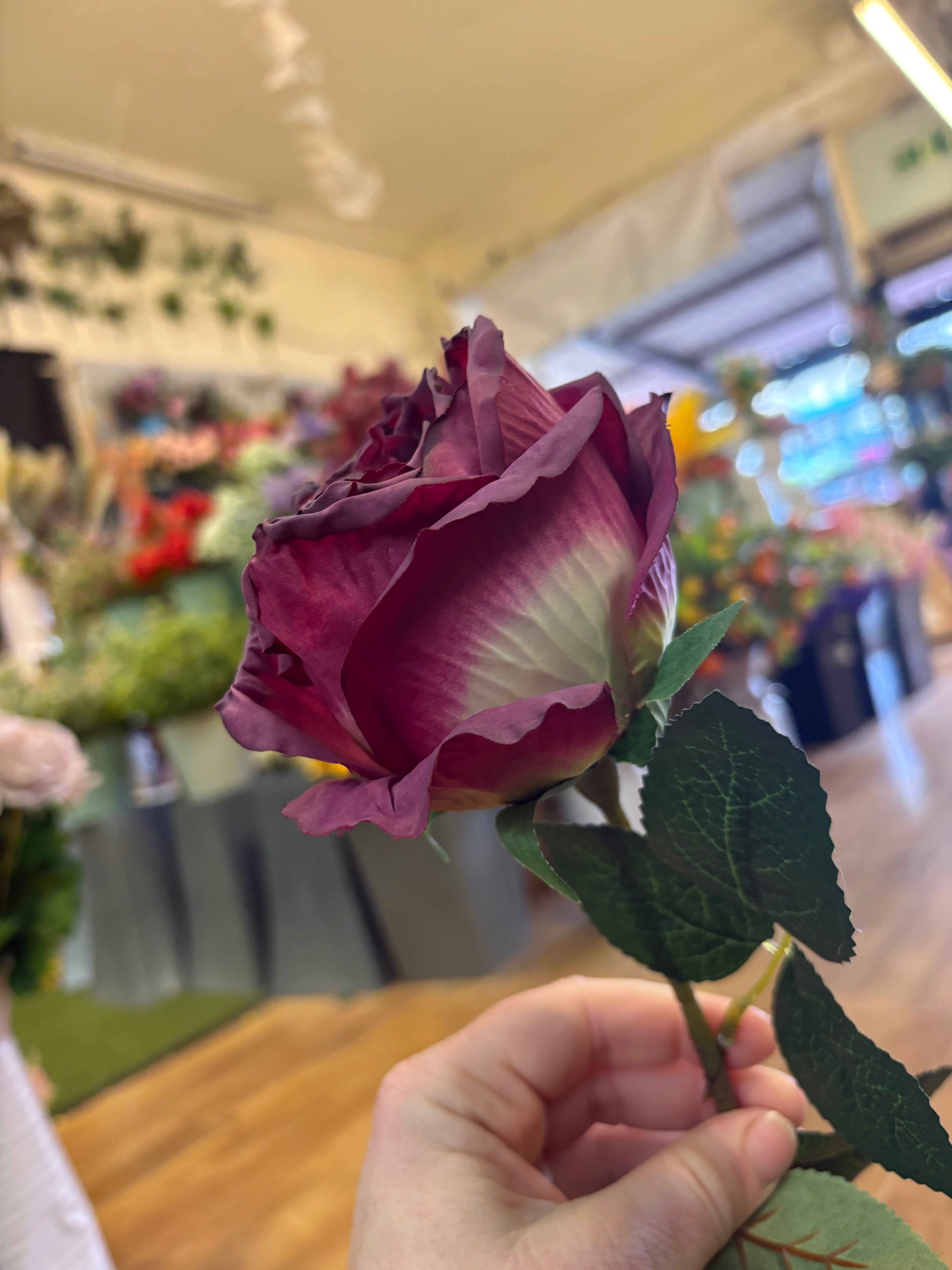 Dried inspired mulberry globe rose