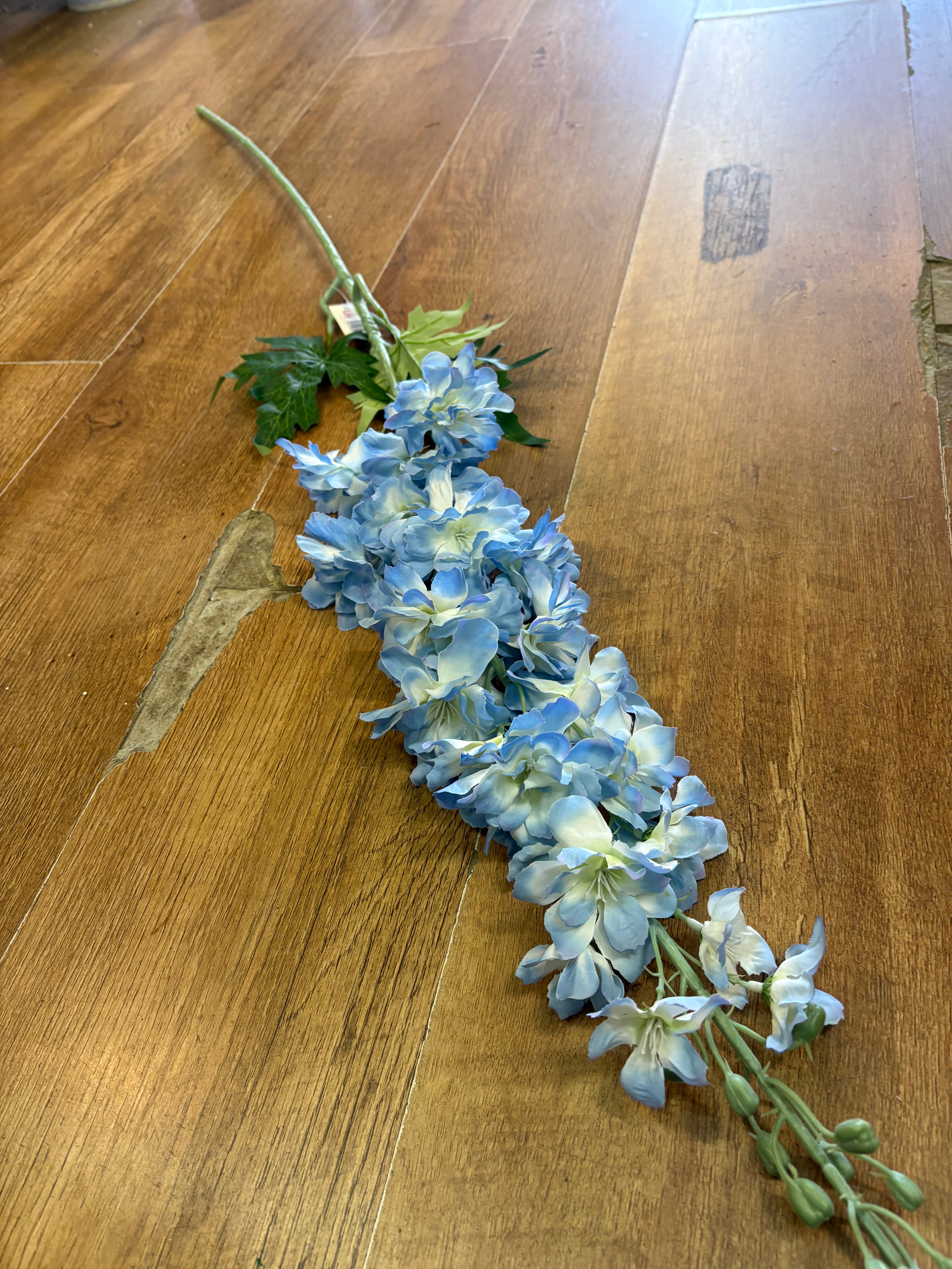 120cm tall pale blue delphinium