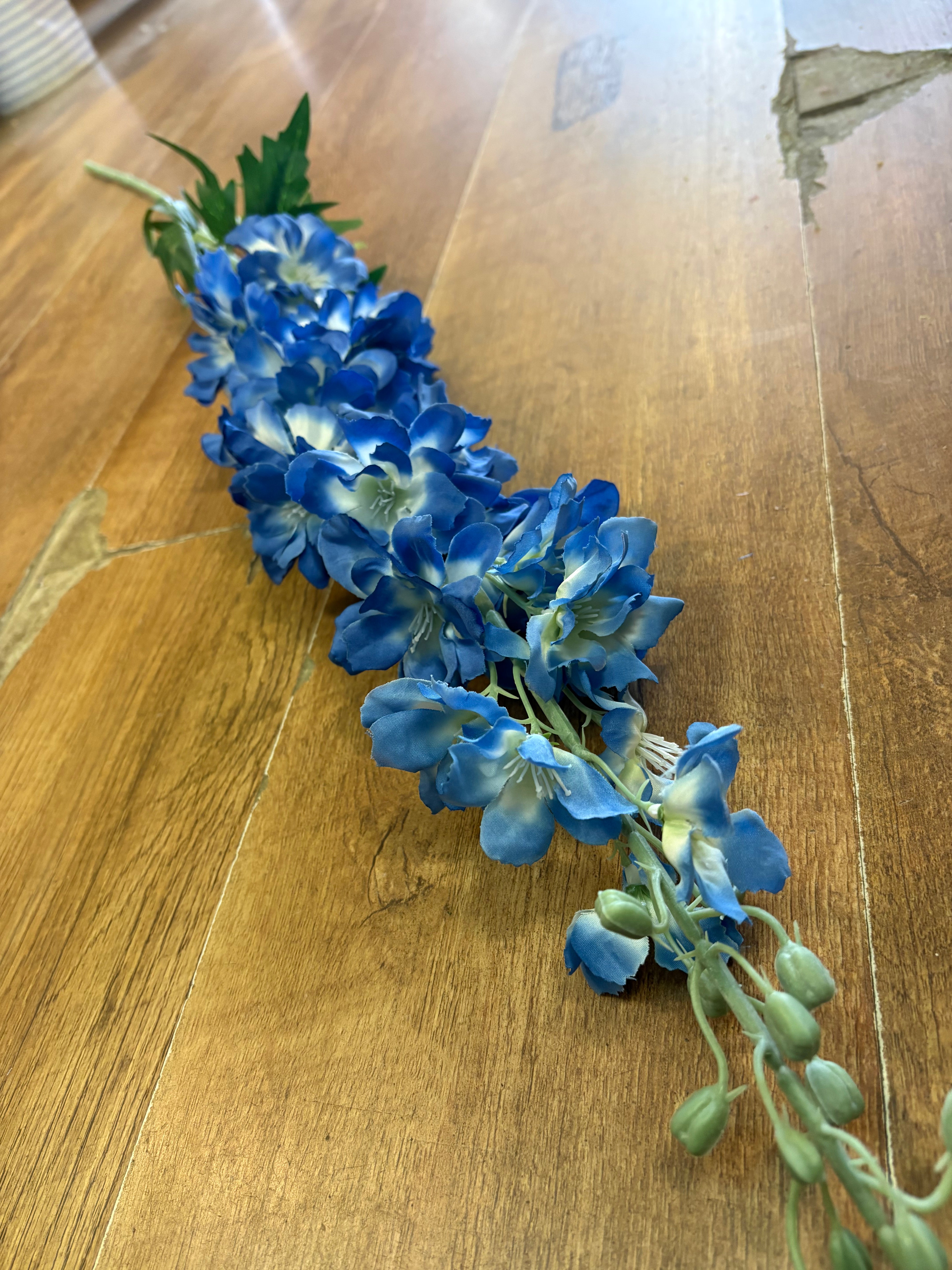120cm tall blue delphinium