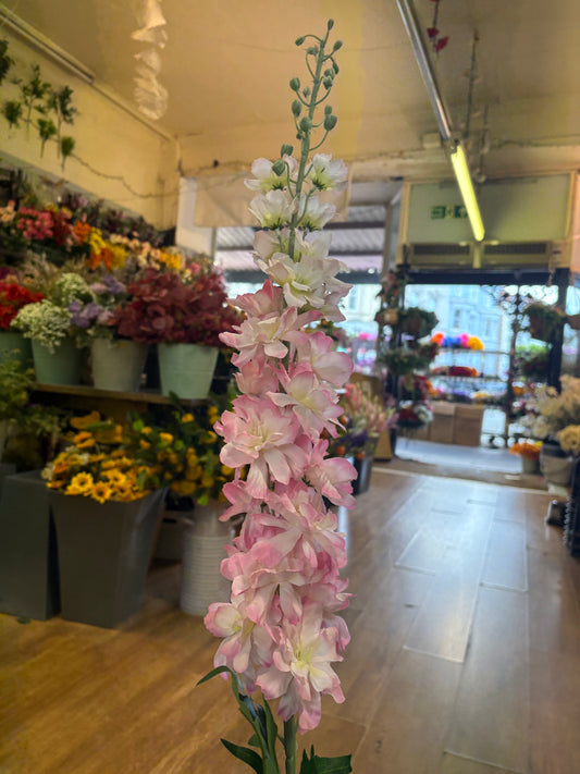 120cm tall pink delphinium