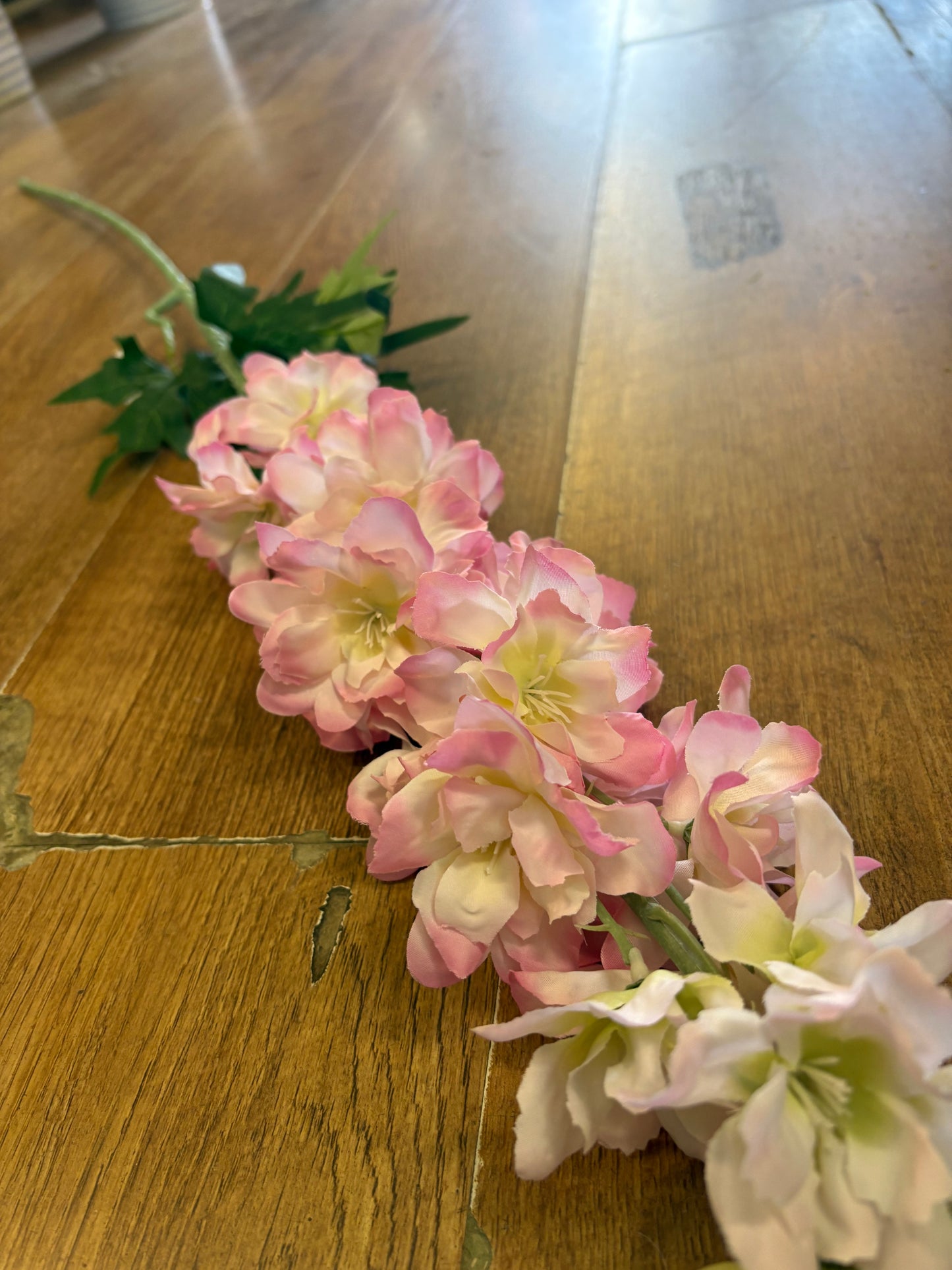 120cm tall pink delphinium