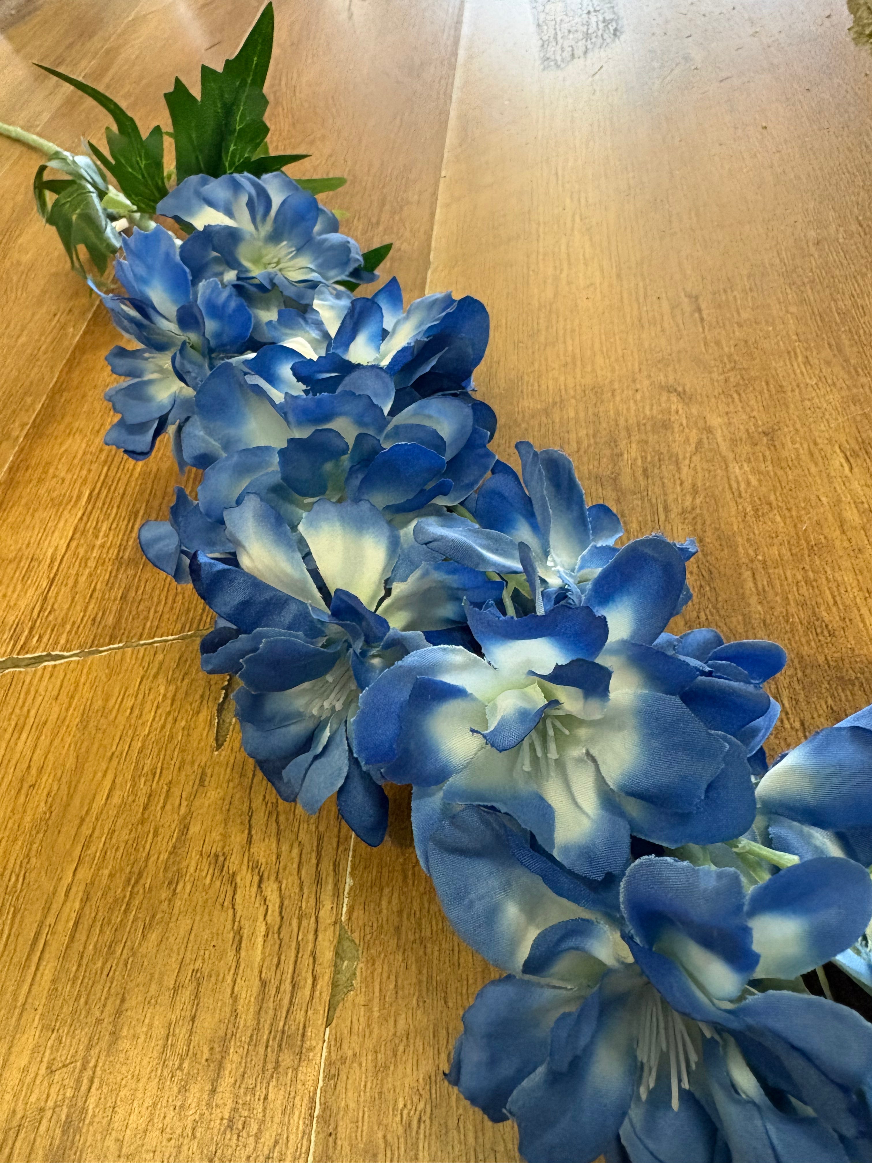 120cm tall blue delphinium
