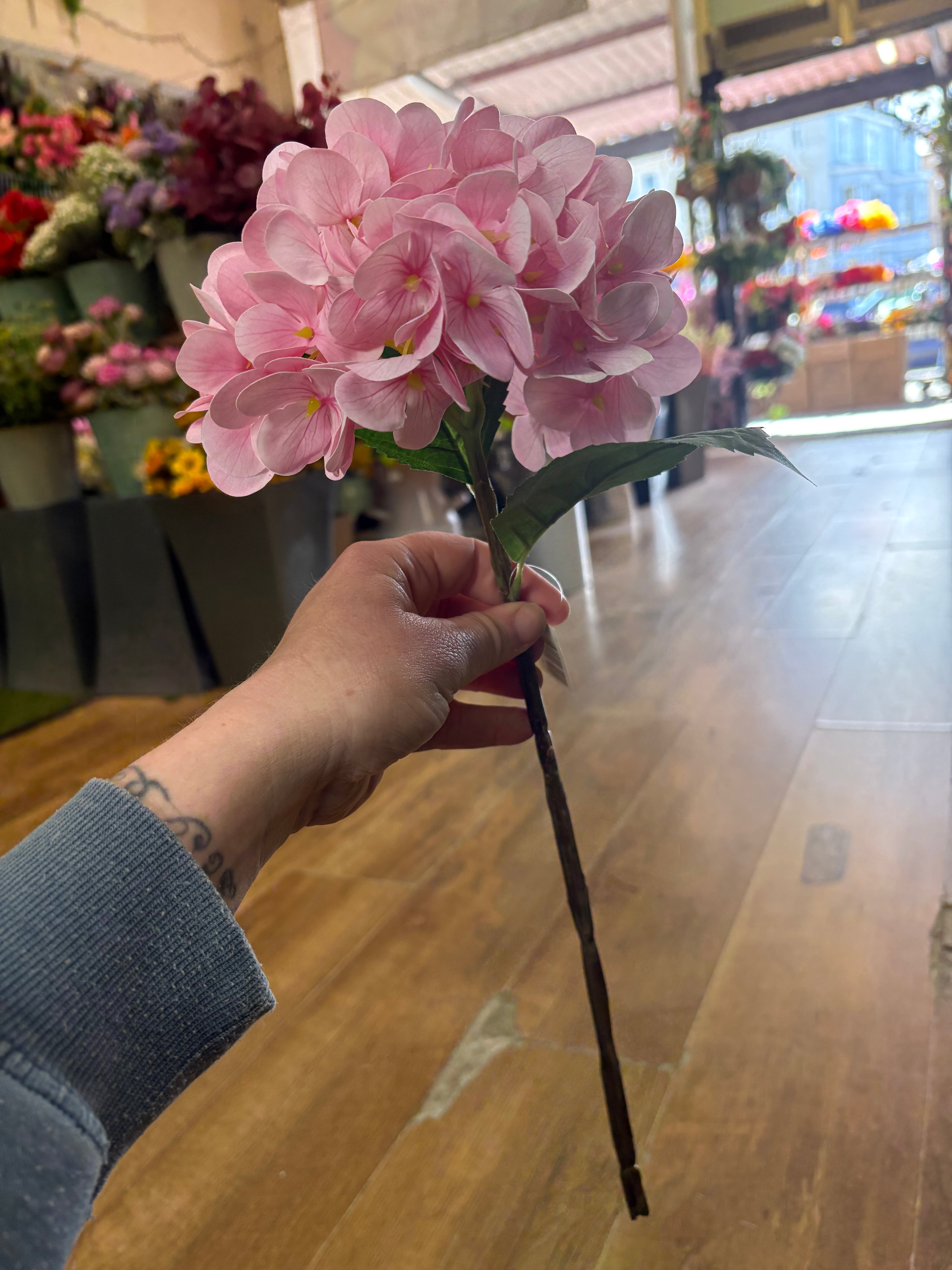 Medium length pale pink single hydrangea