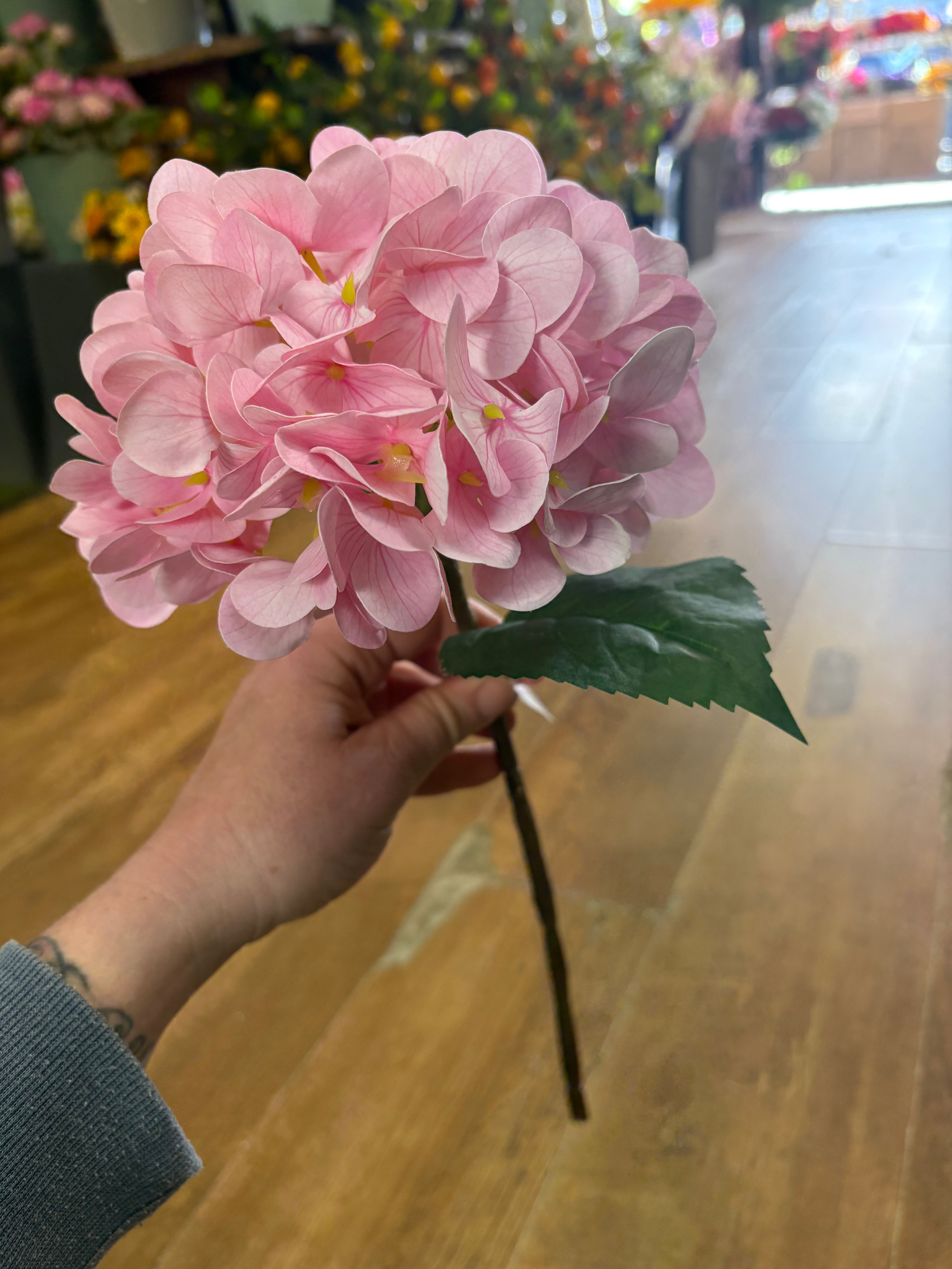 Medium length pale pink single hydrangea